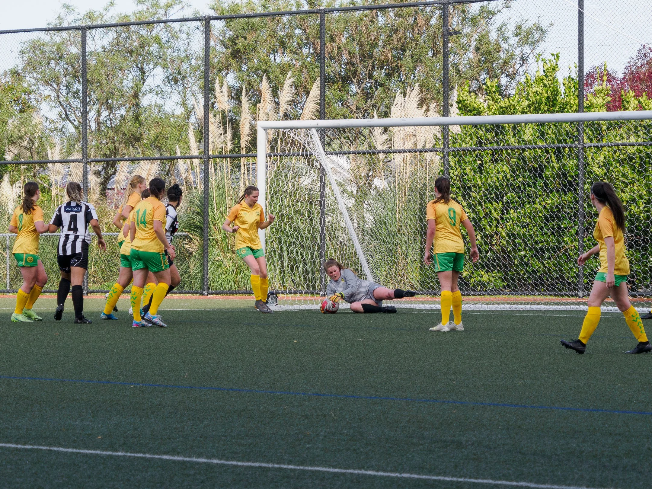 P4232014.jpg