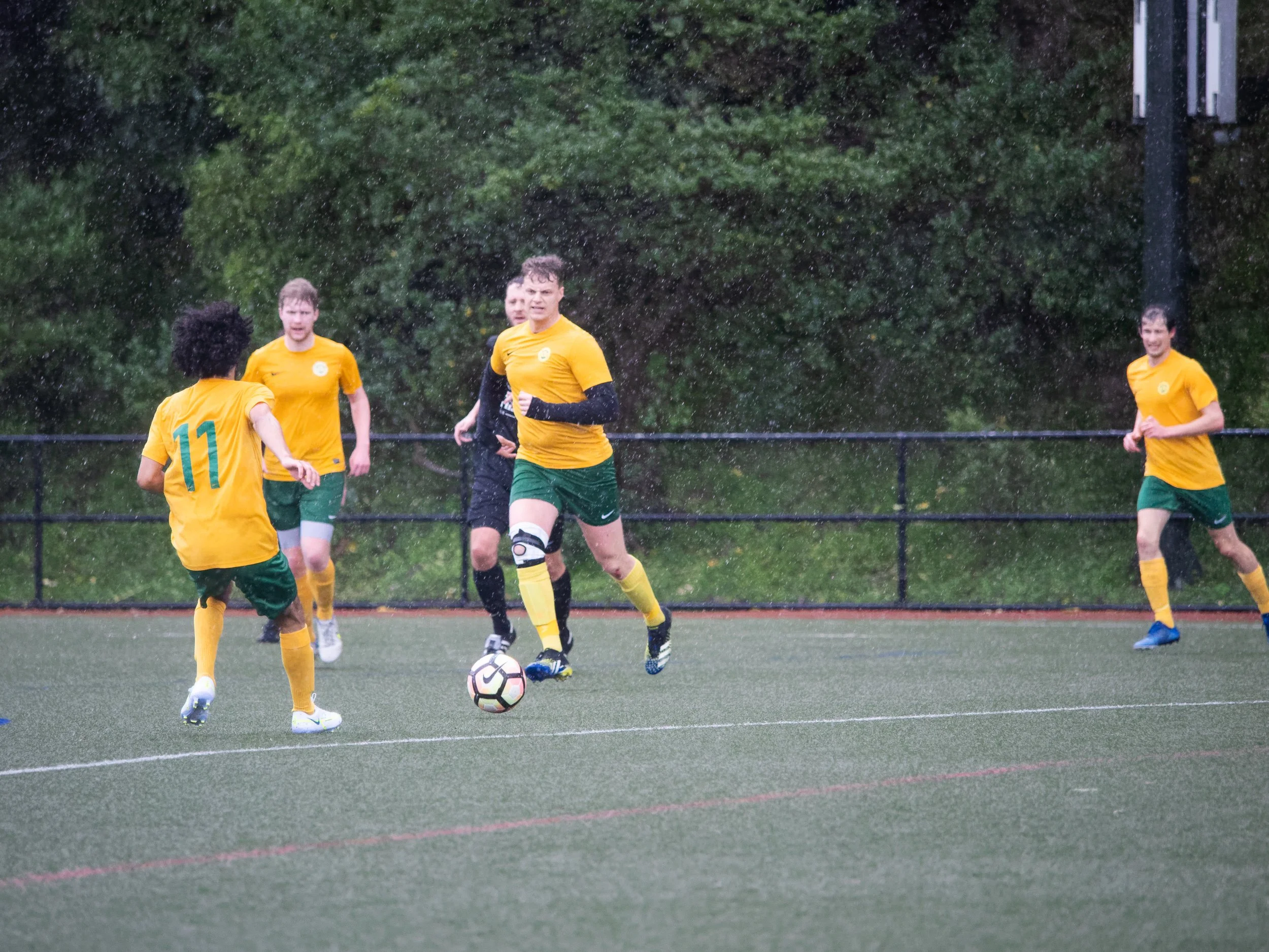 P7305584_DxO.jpg