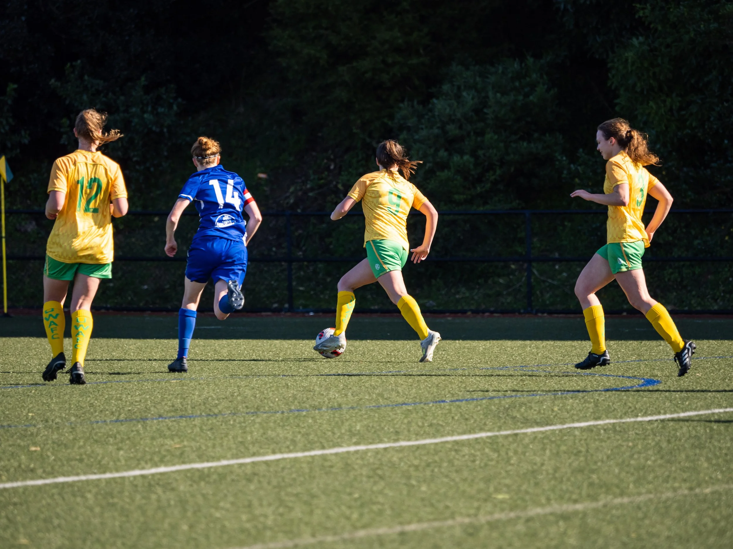 P8134279.jpg