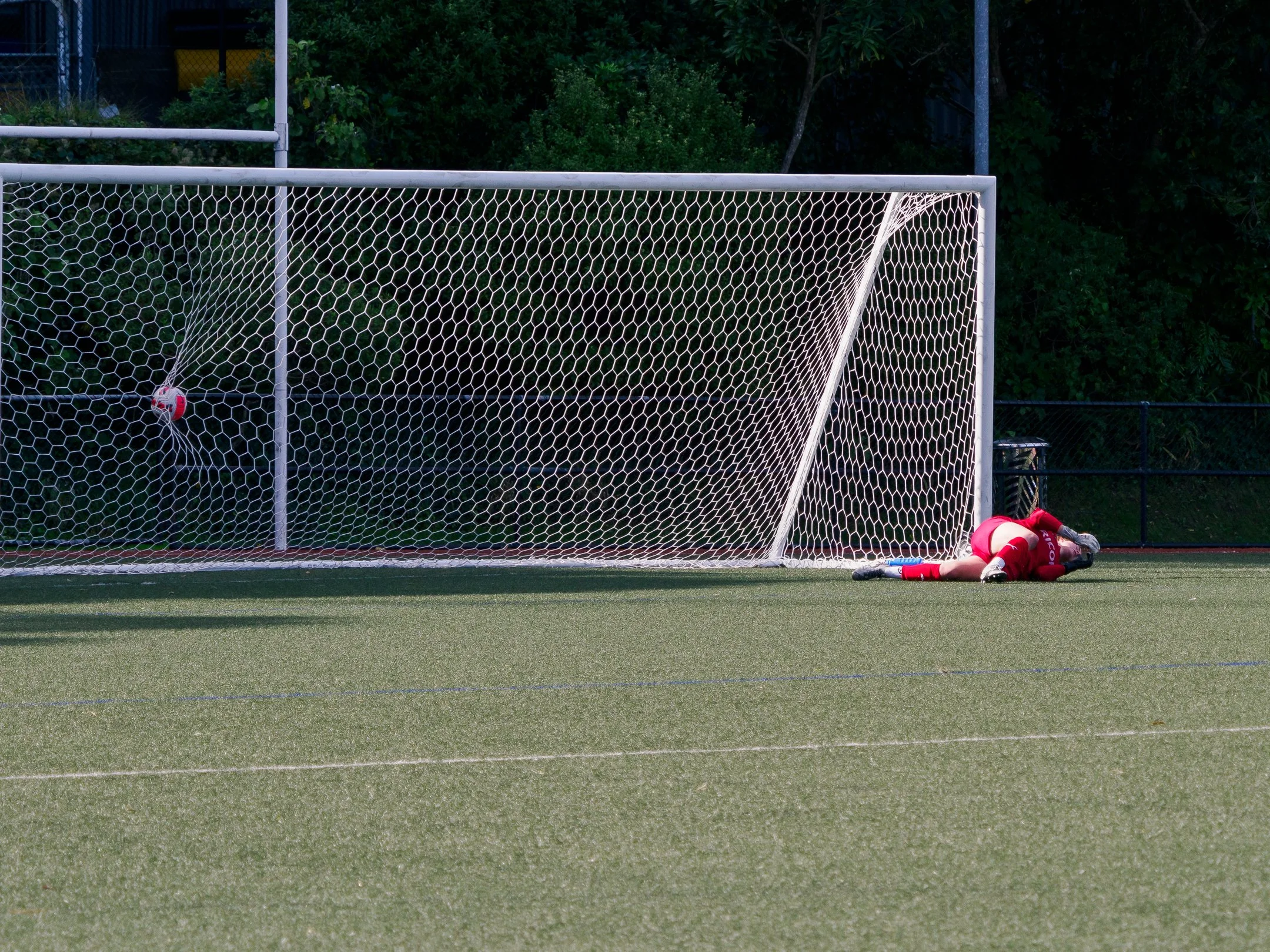 P4231446.jpg