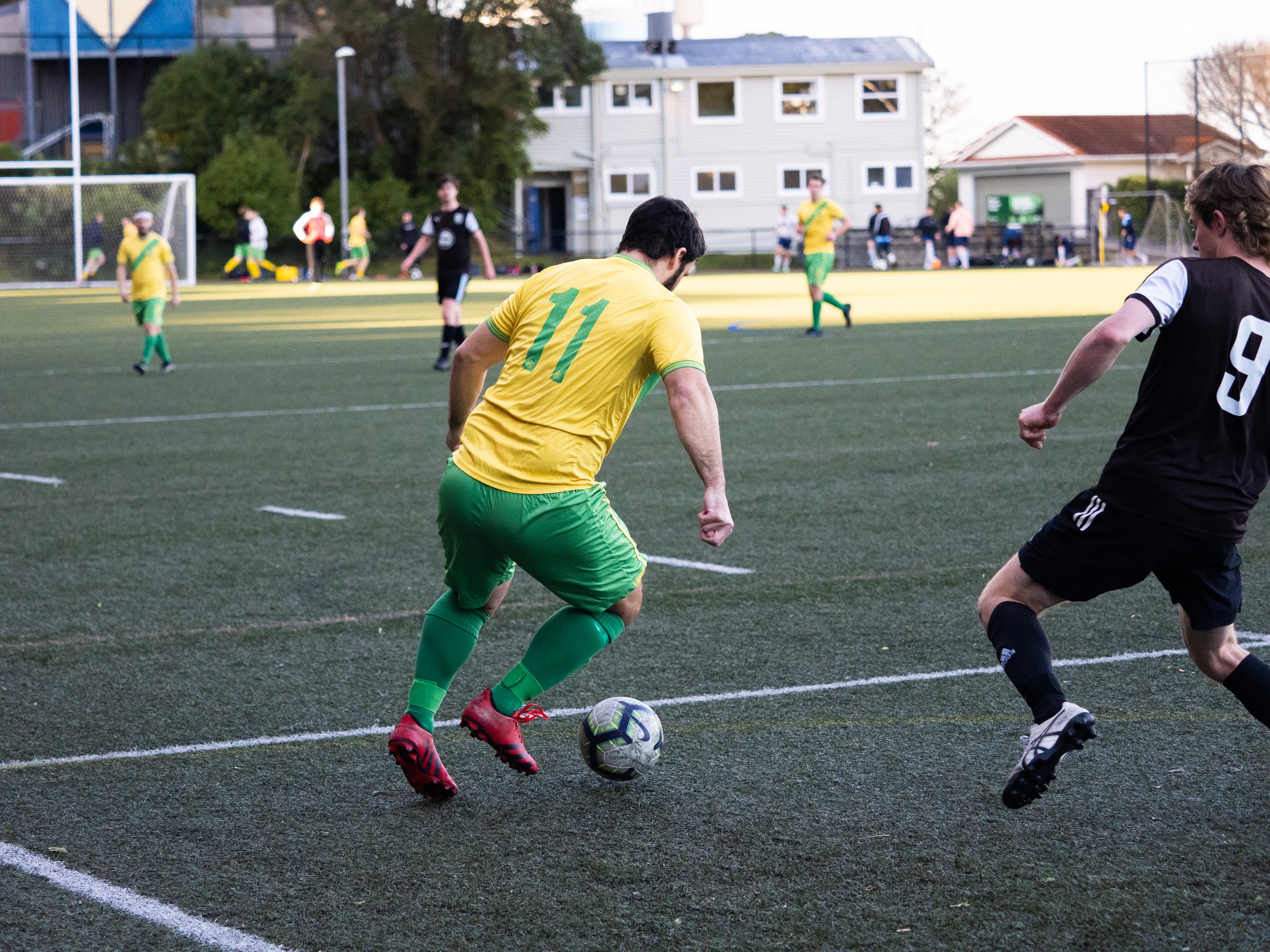P8139894.jpg