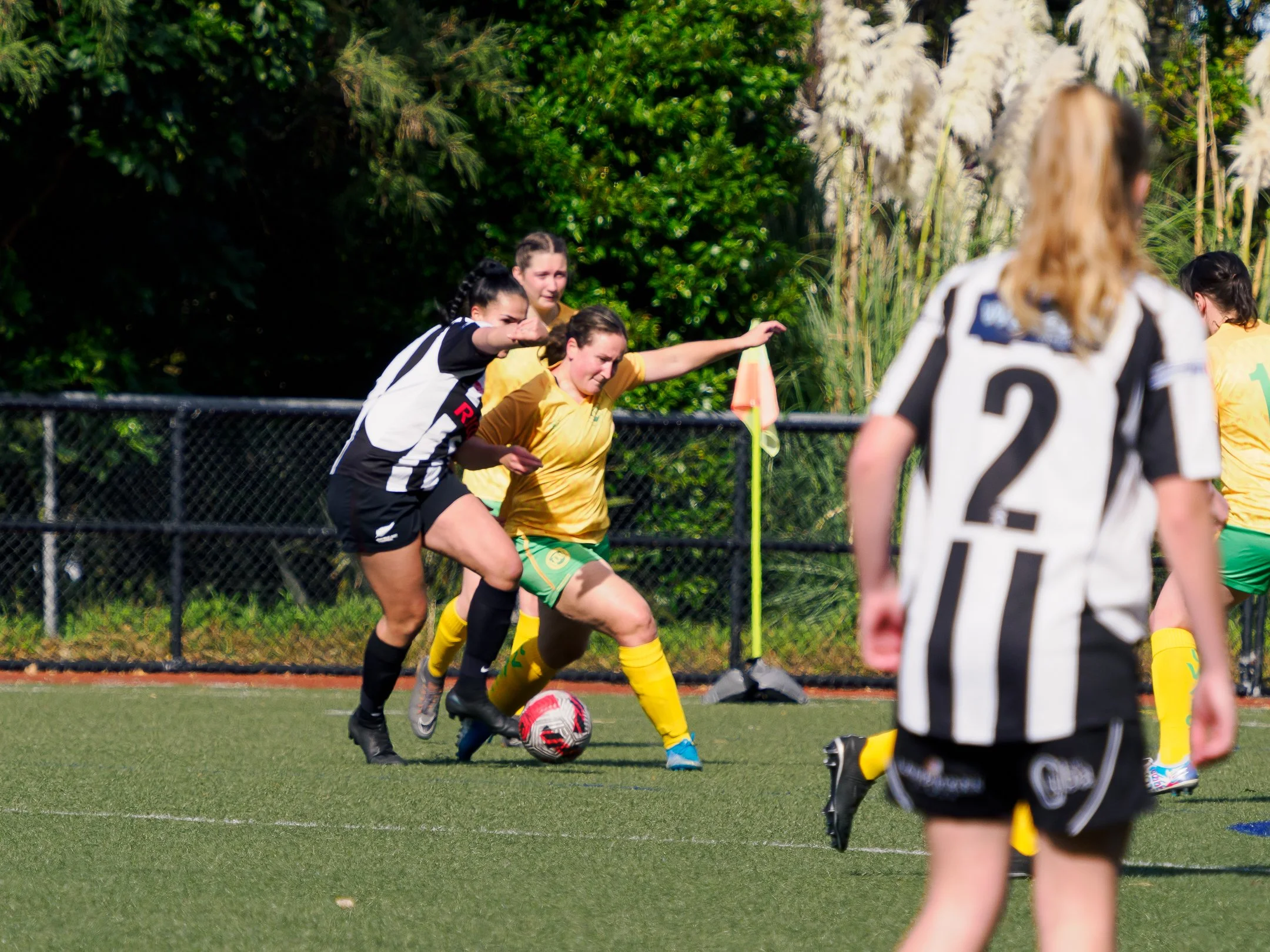 P4230988.jpg