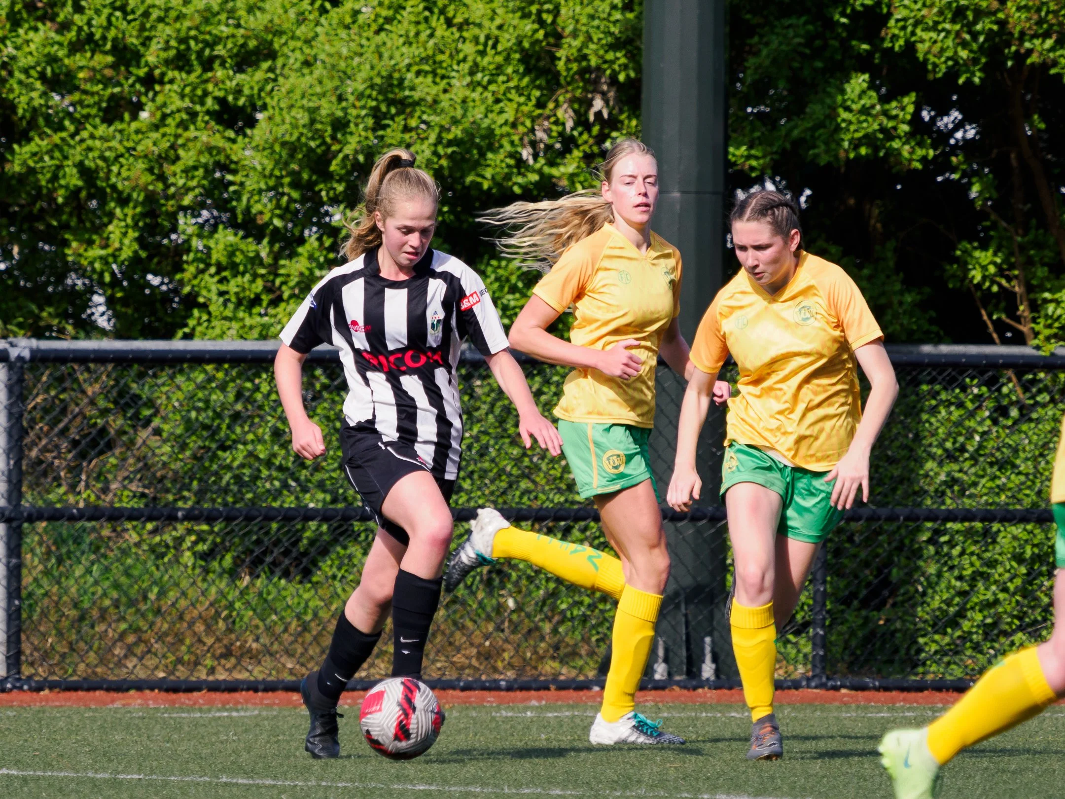P4231569.jpg