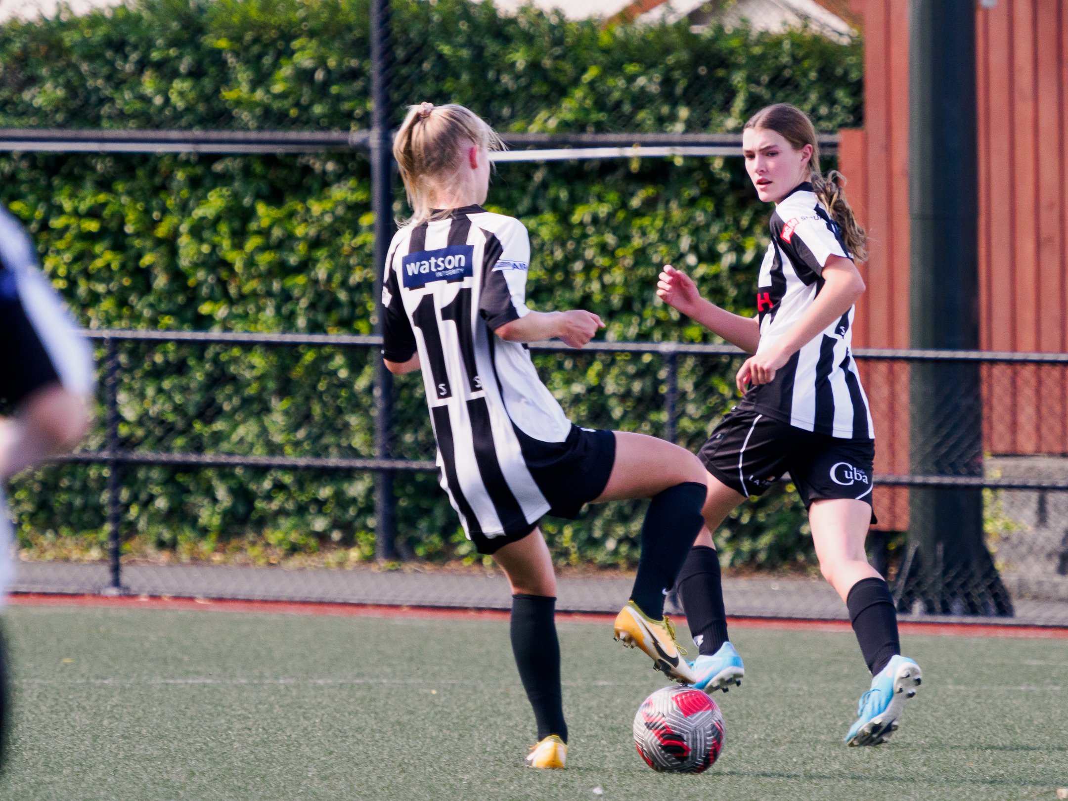 P4230585.jpg