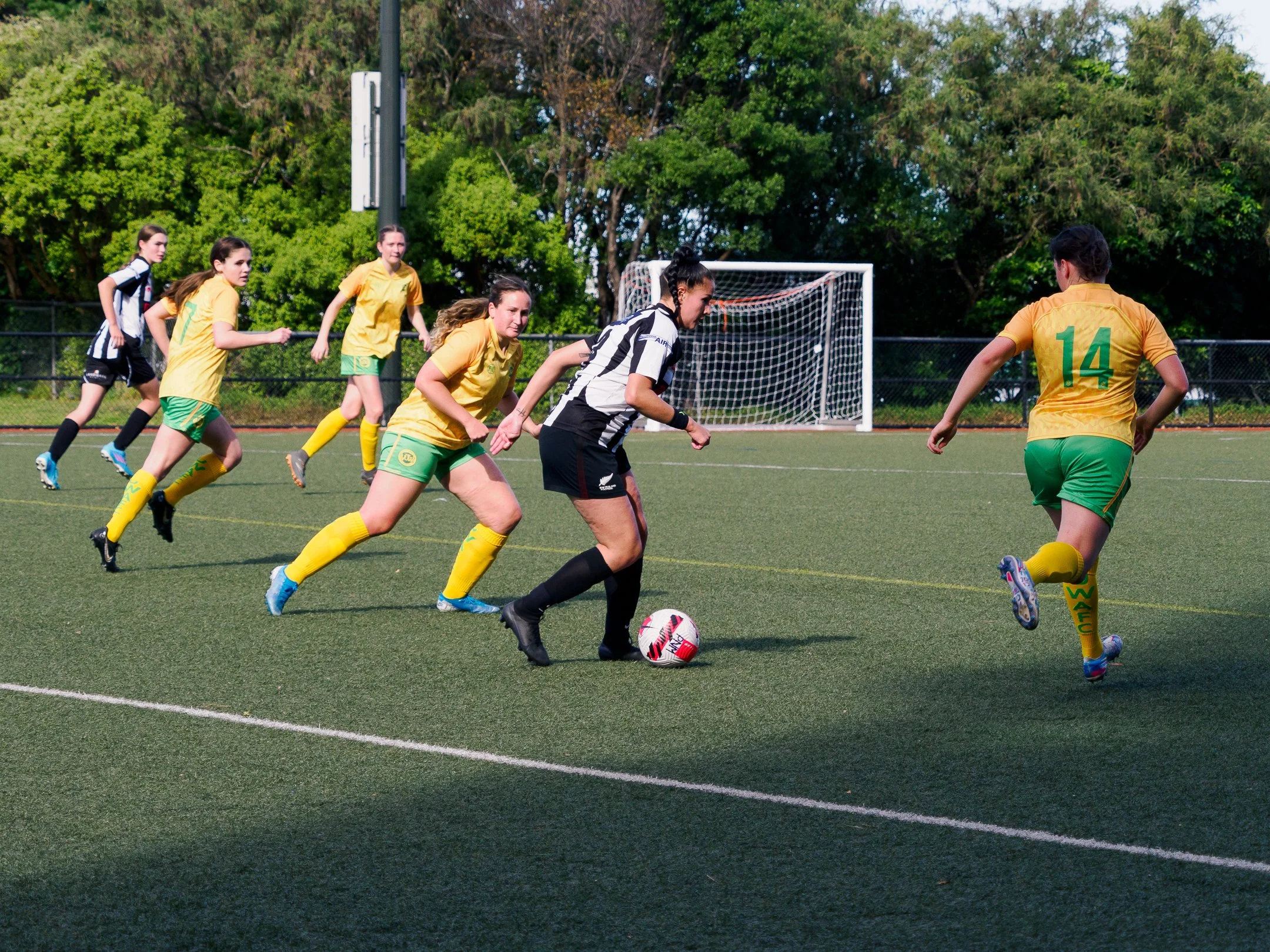 P4231296.jpg