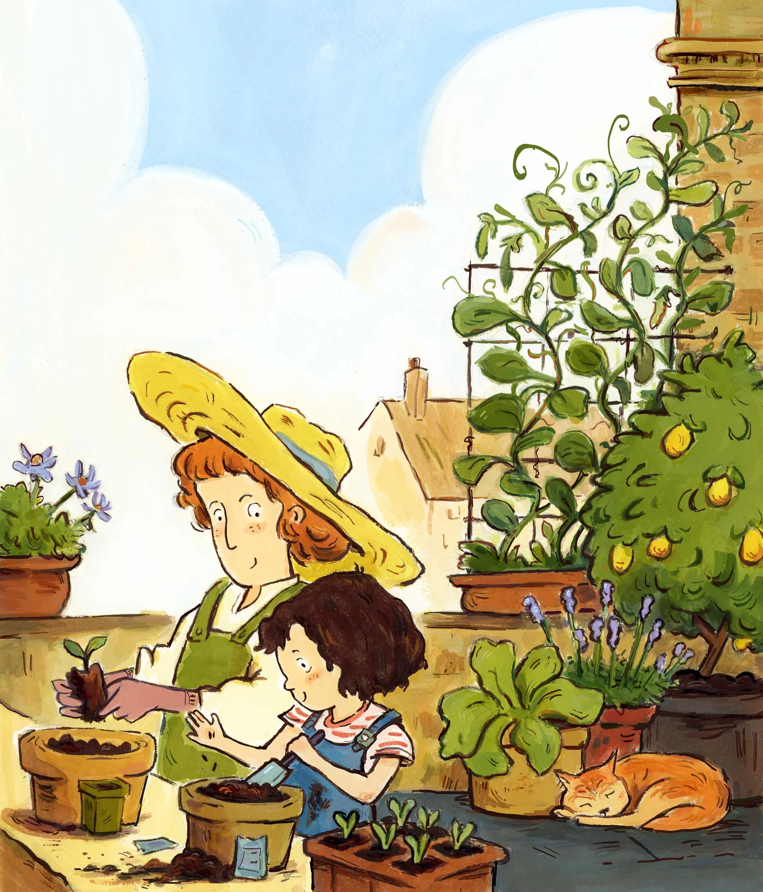 roof-top_Illustration_garden.jpg