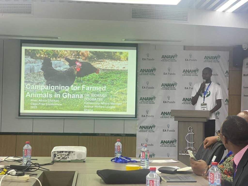 Exciting news from Animal Welfare League! A member of our team, Richard Dogbatse  recently participated in the West Africa cage-free chicken conference organised by Africa Network for Animal Welfare (ANAW)  in Accra, Ghana, on 14th April 2023, where 