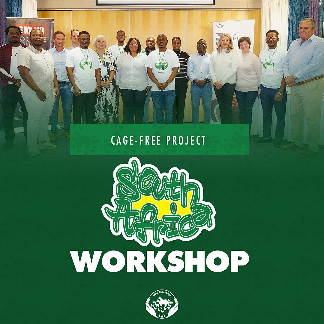 EGG PRODUCERS WORKSHOP IN SOUTH AFRICA