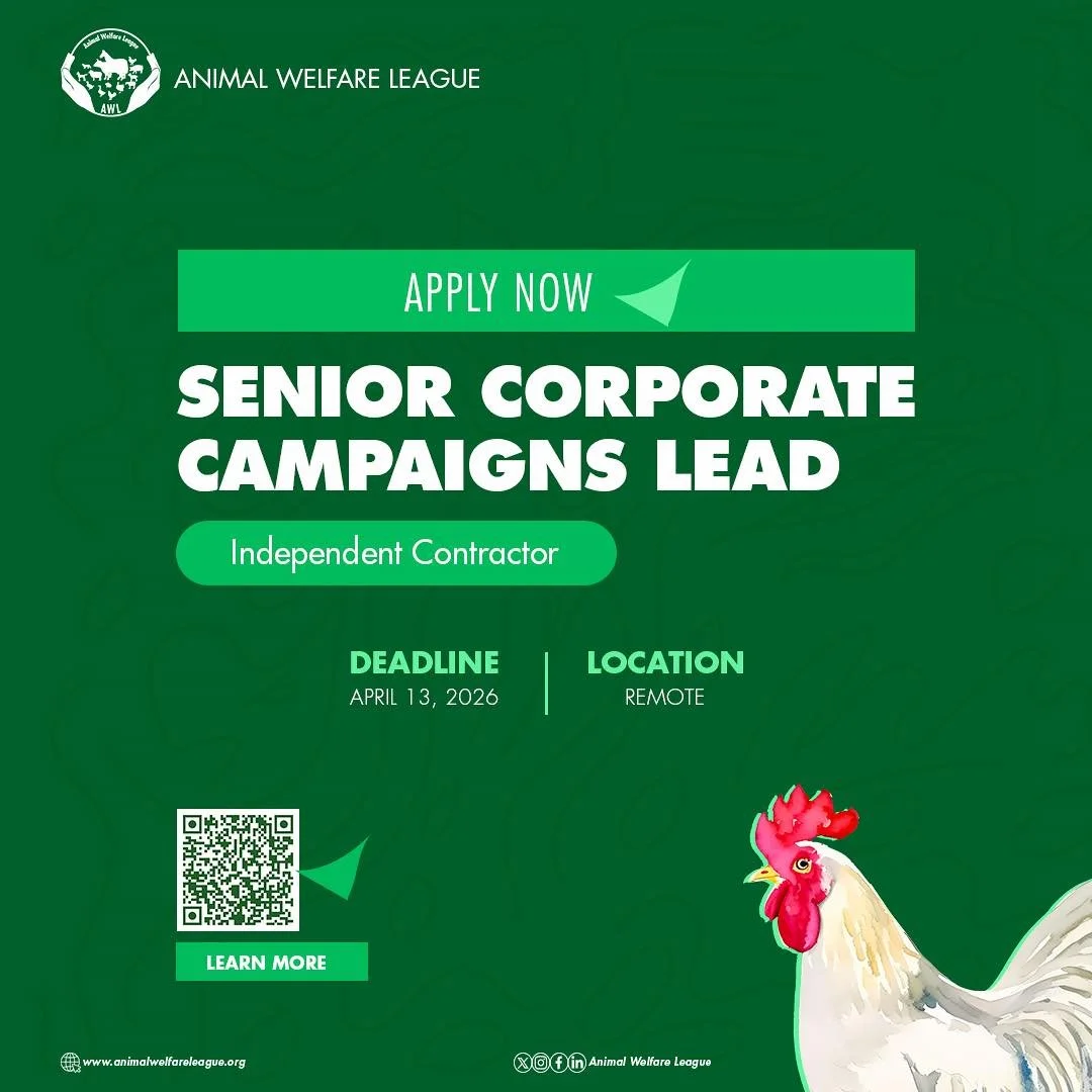 The Animal Welfare League is hiring! 

We&rsquo;re looking for a Senior Corporate Campaigns Lead who can combine strong relationship-building skills with strategic campaign thinking to drive corporate outreach and advocacy across Africa.
This is a pa