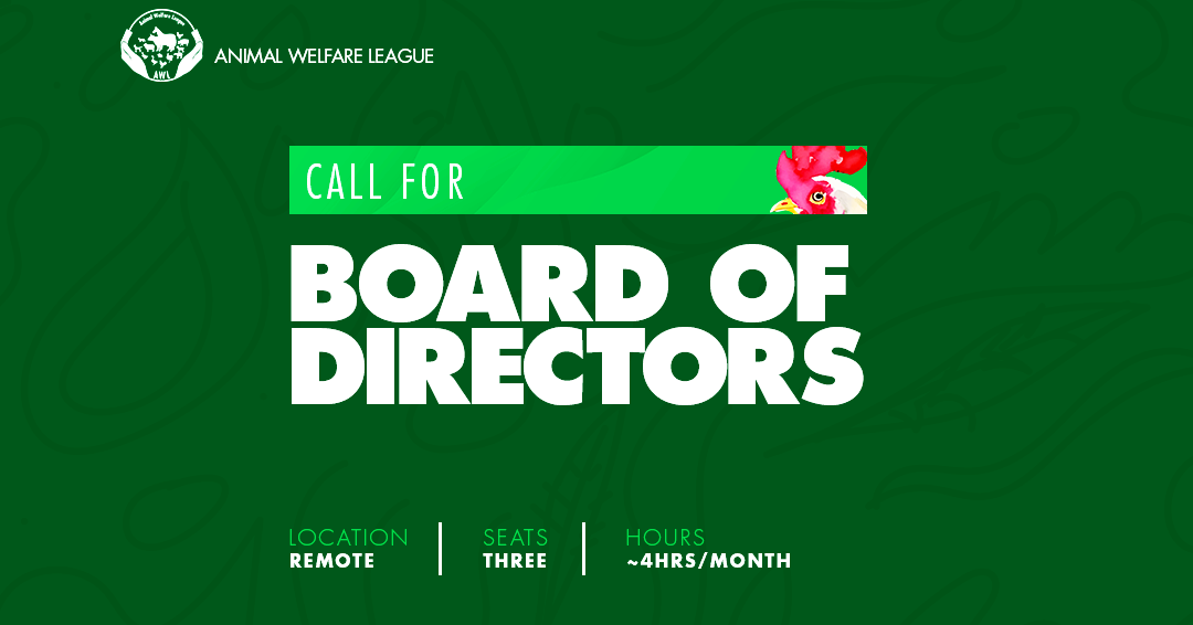 CALL FOR BOARD OF DIRECTORS