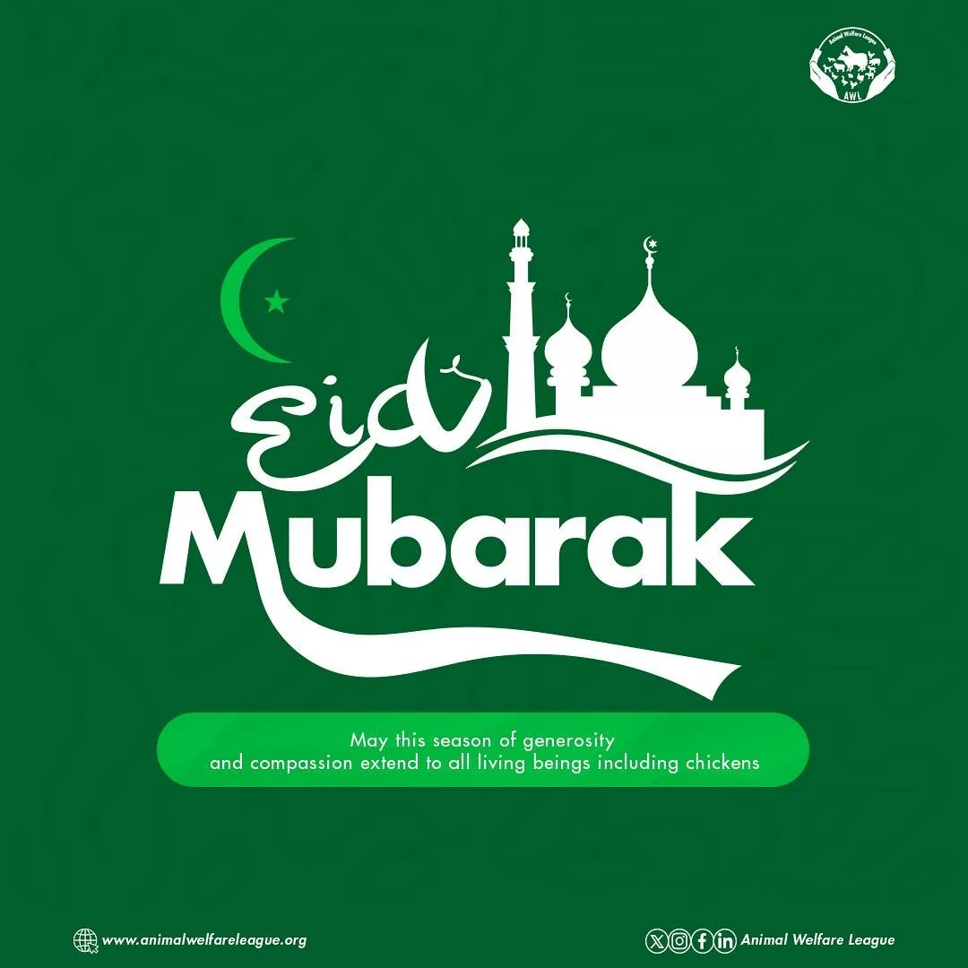 🌙✨🌟 Eid Mubarak

Wishing our Muslim community a blessed Eid Al-Fitr filled with joy, peace, and time with loved ones. May the compassion and generosity that define this season inspire kindness towards all ❤️

#EidMubarak #EidAlFitr #AWL #animalwelf