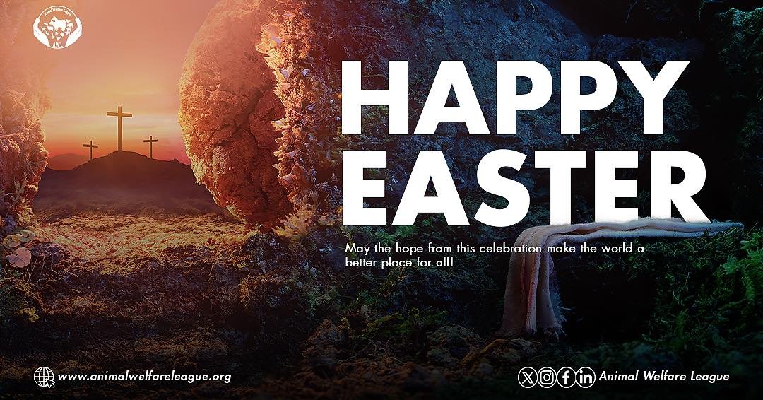 🌟Easter Celebration 

Happy Easter! May the goodness and the hope from this celebration make the world a better a place for all!

#eastersunday #happyeaster #gocagefree #endcages