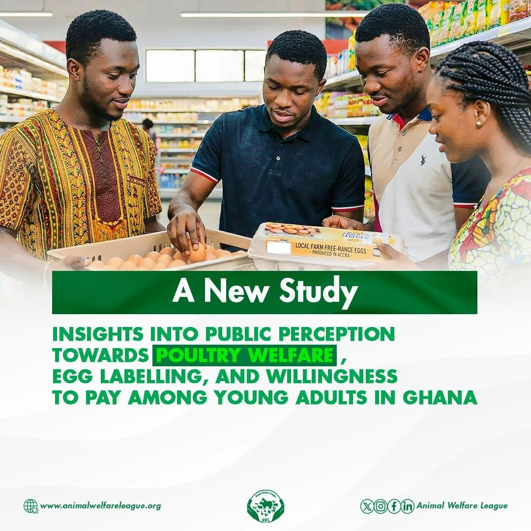 💡Farm animal welfare is a rapidly growing interest area in Africa, with several advocacy organizations leveraging evidence-based strategies and interventions to bridge awareness and policy gaps.

Insights into Public Perception Towards Poultry Welfa