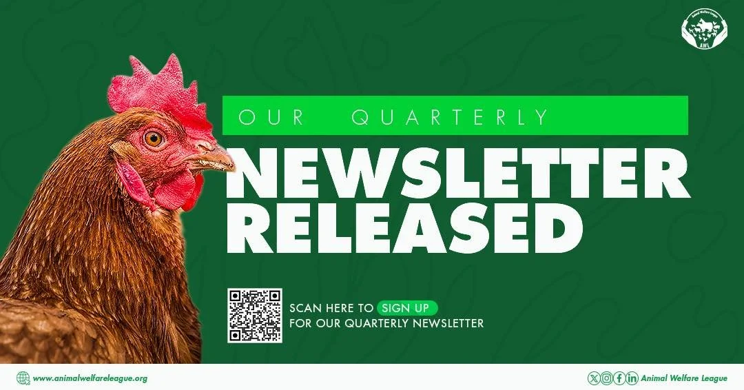 🤩🥳🎉 Our First Quarterly Newsletter is Here! 

Dive in with us as we recap the highlights and key moments from this quarter

Special highlights include:

✅Fiesta Royale hotel&rsquo;s commitment, and other corporate engagements 
✅our work on the dev