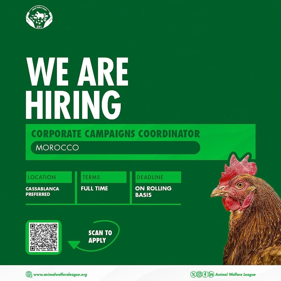 🌟JOIN OUR TEAM NOW!

Animal Welfare League is hiring a Corporate Campaigns Coordinator (CCC) in Morocco and Egypt.

The CCC will engage directly with food companies to secure and implement cage-free commitments, build strong relationships with indus