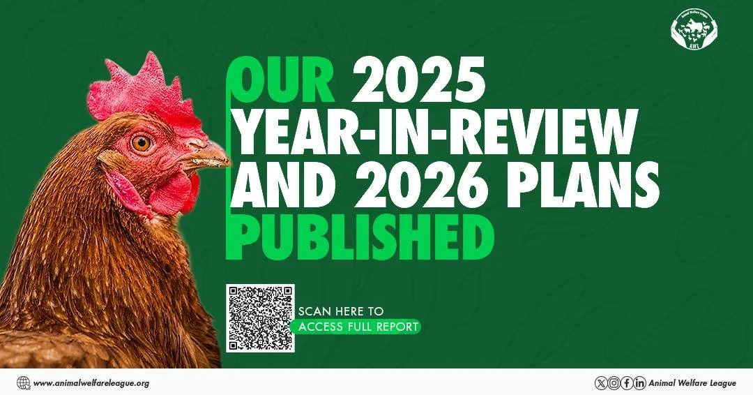 🤩Exciting news: Our 2025 Year-in-Review &amp; 2026 Strategic Plan is live.

Last year, we continued working to improve conditions for farmed animals. We made progress on corporate chicken welfare standards, grew our partnerships, expanded public awa