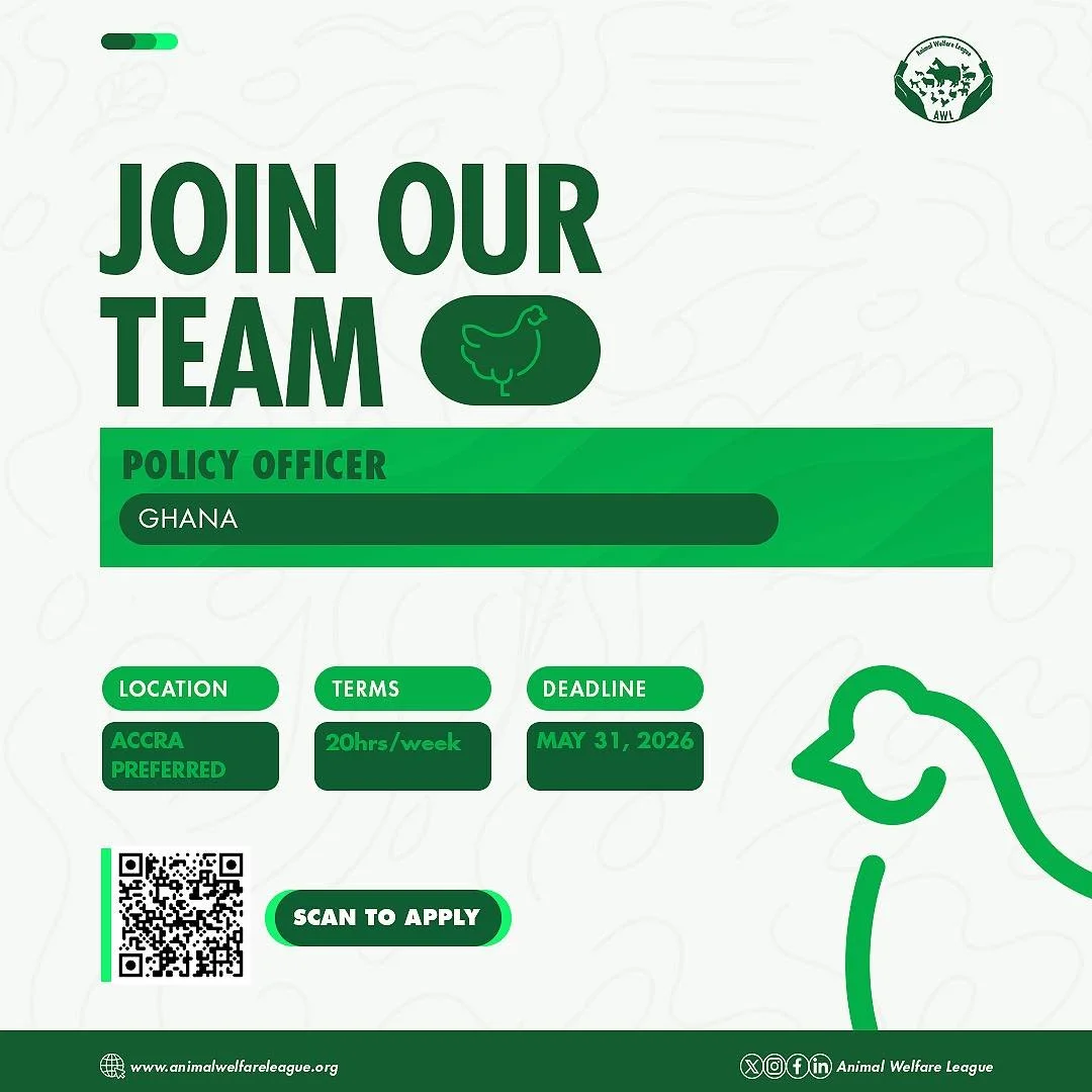 Join Our Team! 🌟

Animal Welfare League is hiring a Policy Officer in Ghana to help advance farm animal projects through thoughtful, evidence-based advocacy.
The Policy Officer will engage with government stakeholders, contribute to policy research 