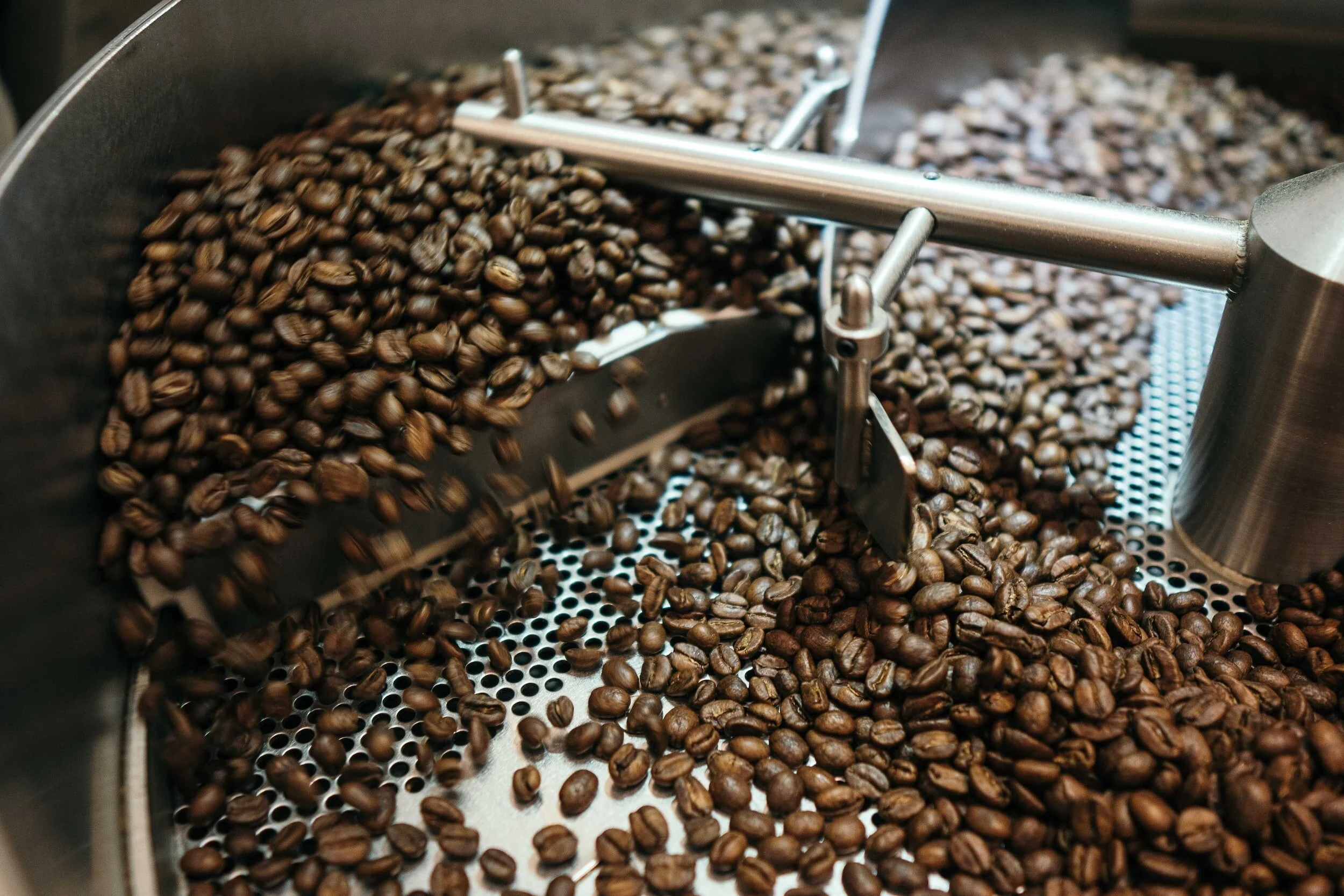 Roasting coffee beans in a commercial coffee roaster machine.