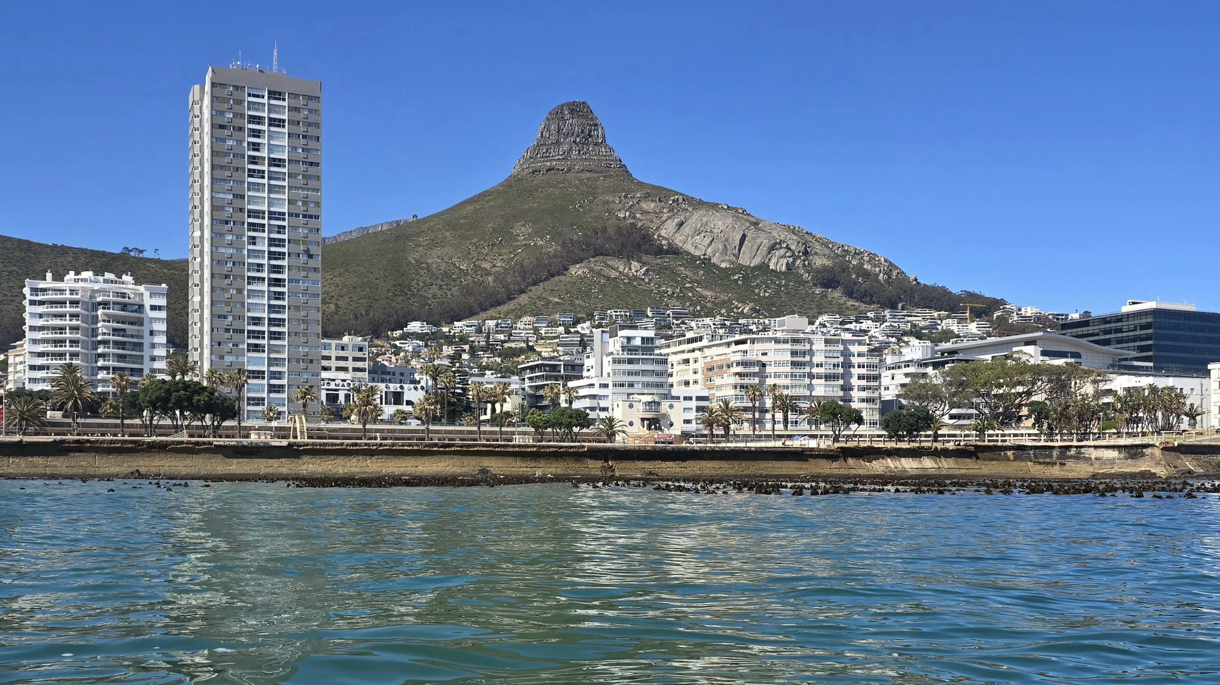 Seaside cityscape with buildings and a prominent mountain, clear blue sky, and water in the foreground.