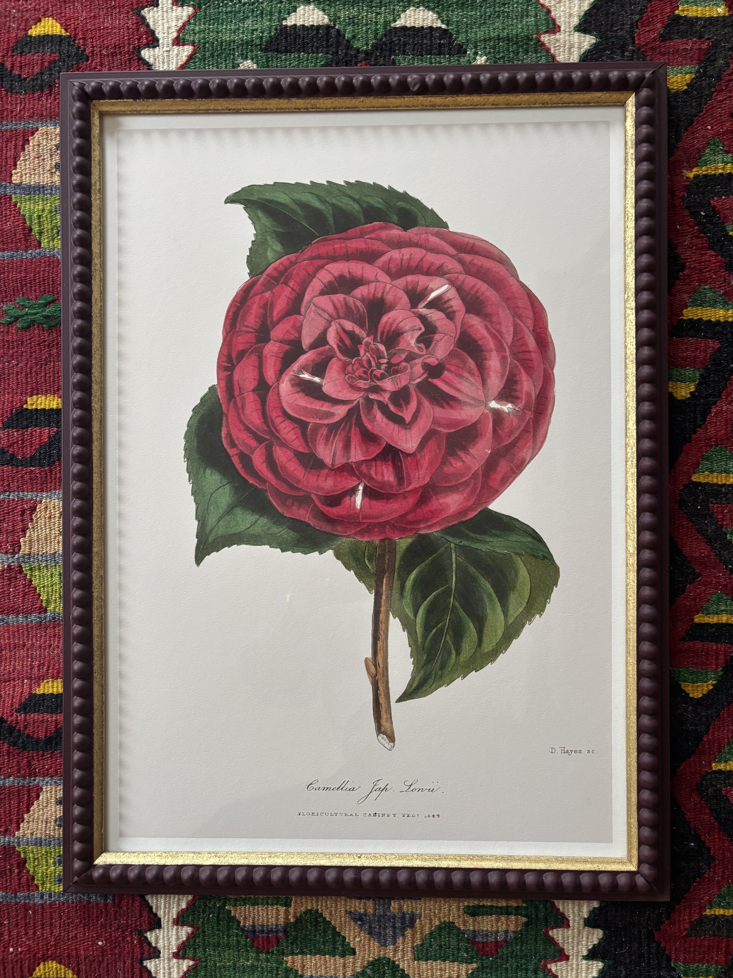 Camellia - large print, dark red beaded frame