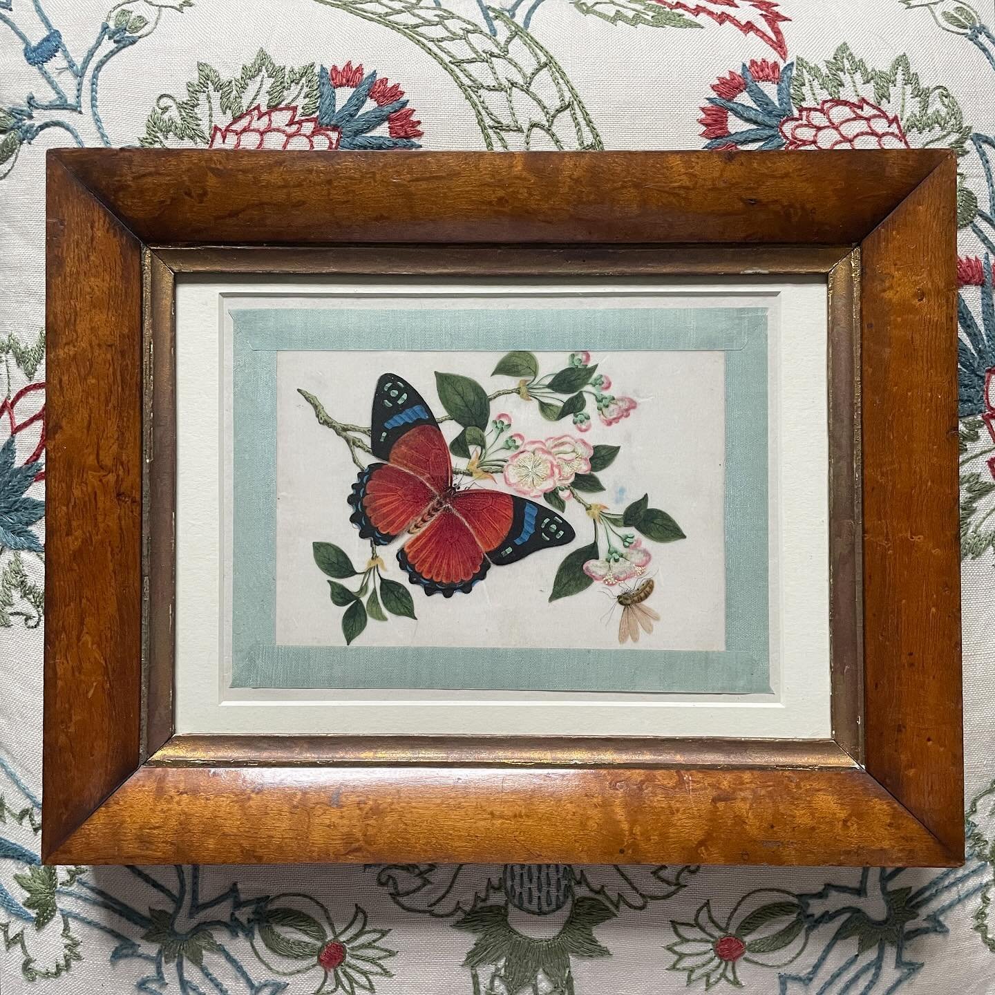 FOR SALE A very fine 19th century pith painting, butterfly on blossom. It is a superlative example of the genre. The detail is exquisite: the tiny hairs on the butterfly&rsquo;s body and the delicately rendered fringes to the wings, the beautiful blo