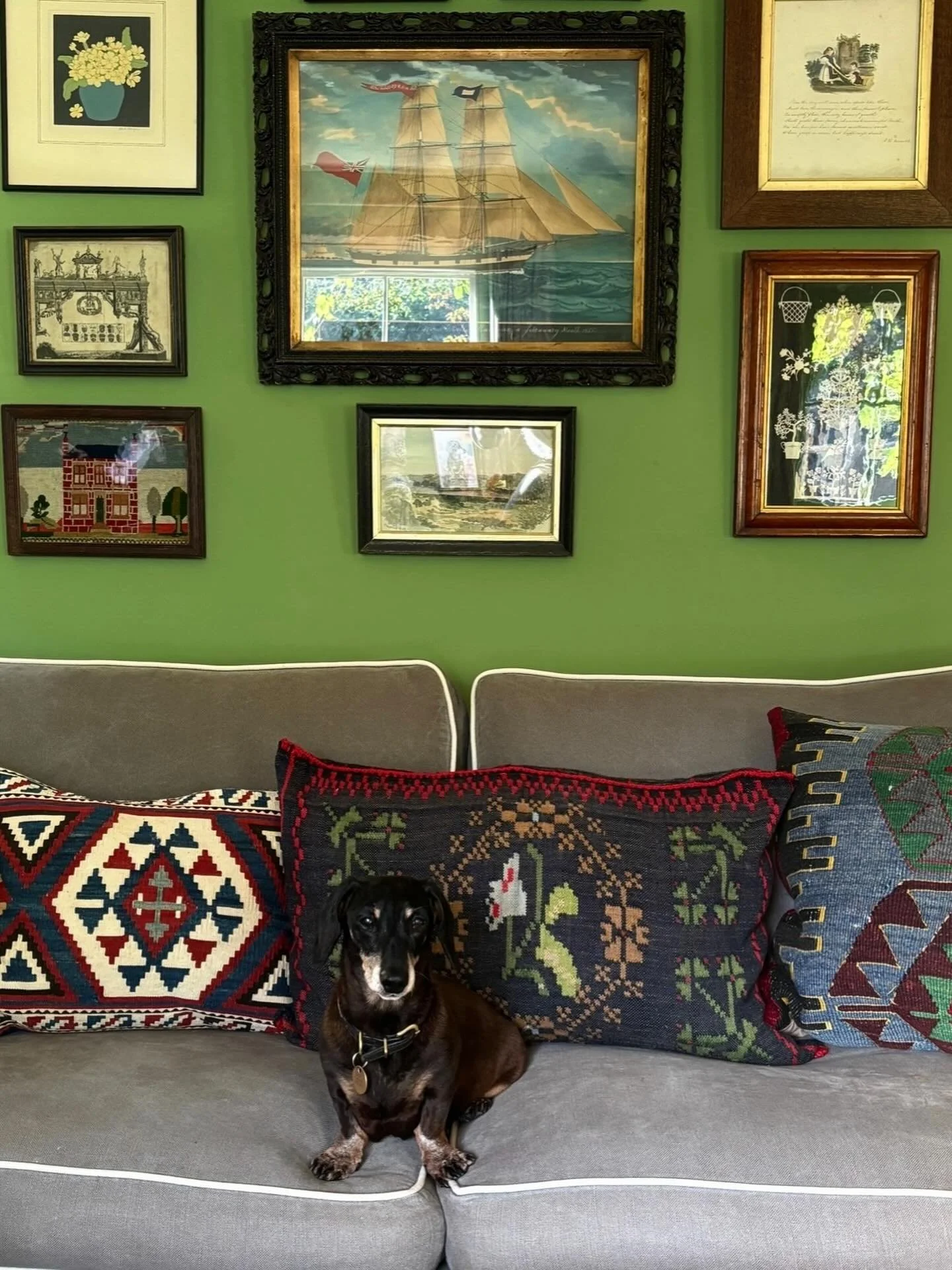 Lettice in one of her favourite spots.😊 
I hope everyone is having a lovely Sunday! x