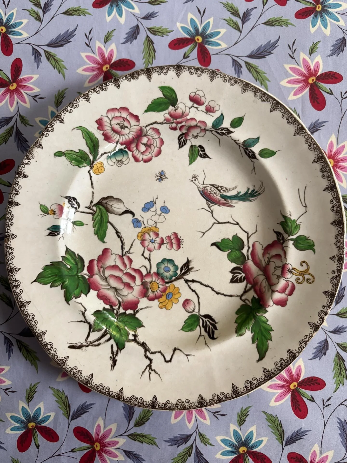 FOR SALE A rare Thomas Dimmock &amp; Co. Staffordshire &lsquo;Aurora&rsquo; pattern pearlware plate, circa 1840.

It has the &lsquo;Kaolin Ware&rsquo; pottery mark, a trade name used by the Dimmock pottery, along with an impressed &lsquo;pearlware&rs