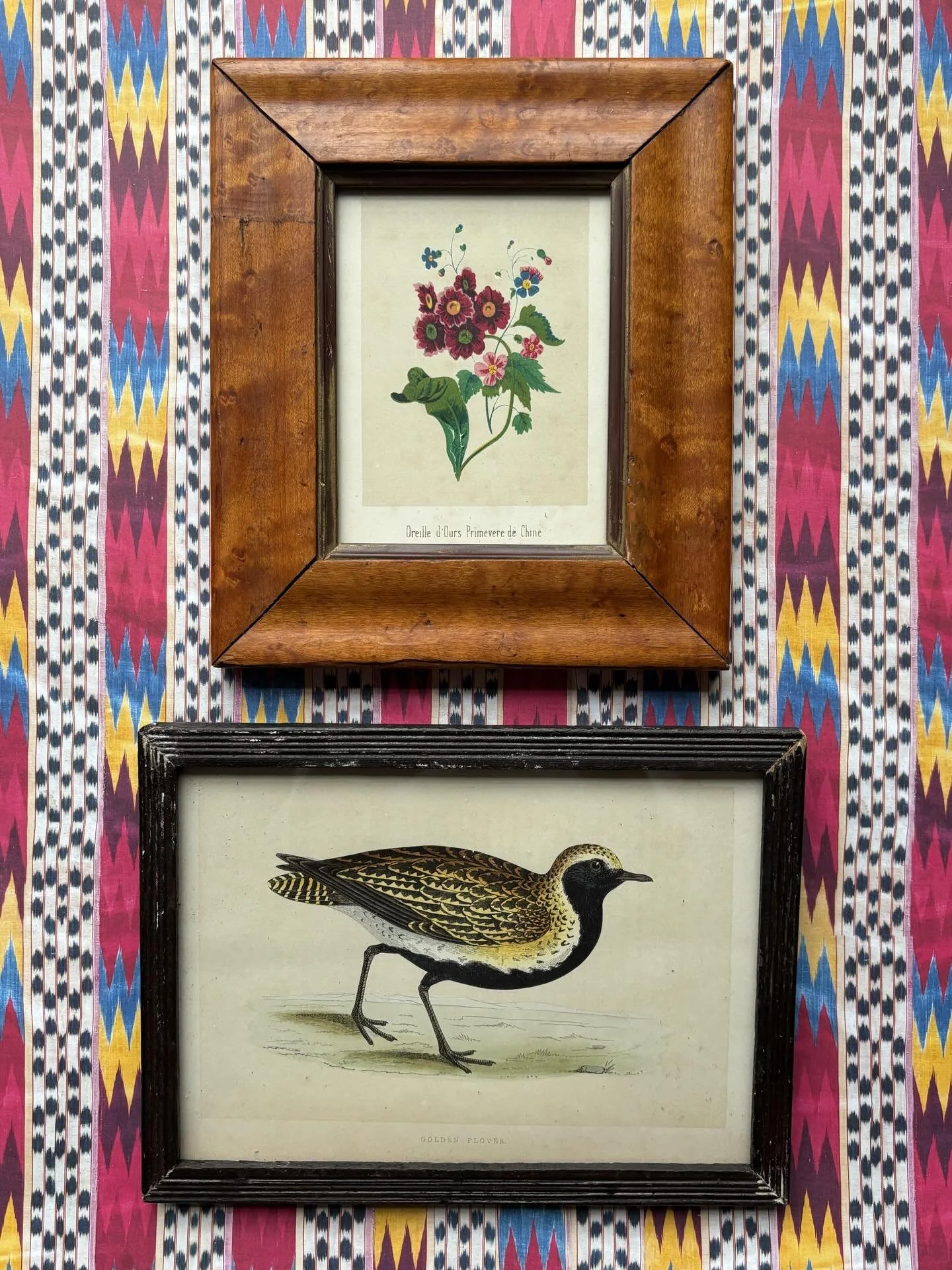 FOR SALE Two charming little framed 19th century prints.

1.) A floral chromolithograph of auricula and primrose (&lsquo;Oreille d&rsquo;Ours et Primev&egrave;re de Chine&rsquo;) in an antique birdseye maple frame with gilt slip. 

20.5cm x 17.5cm 

