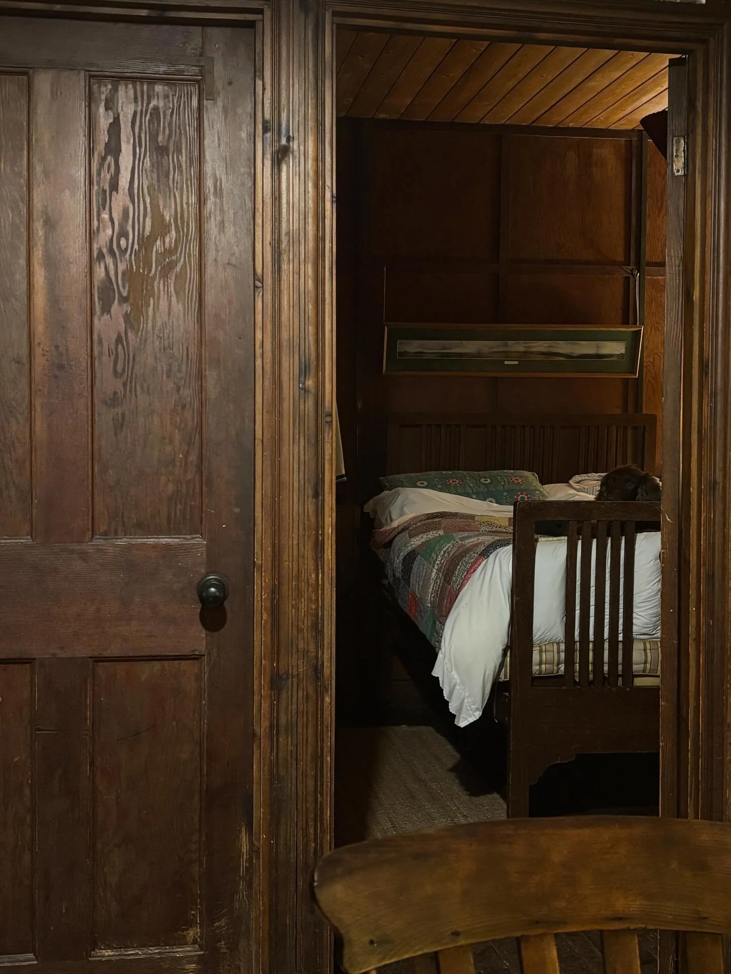 Another cosy weekend at the Hut. It is the most restful place, far away from the madding crowd - and my goodness aren&rsquo;t they madding right now. 

#berwynmountains #offgrid #littlewelshhut #dogsonbeds