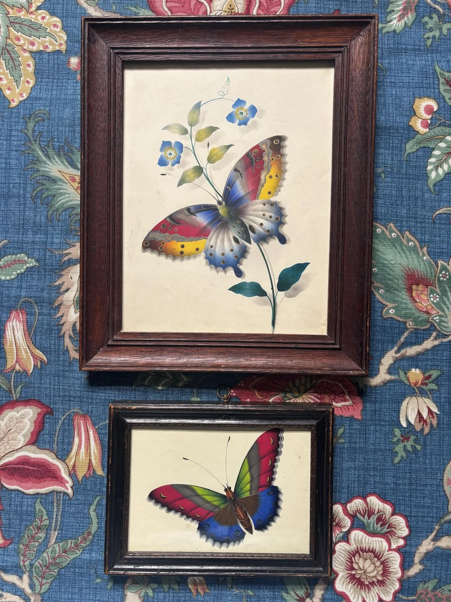 FOR SALE Two beautiful early 19th century watercolour paintings of butterflies, circa 1830. 

1.) Larger butterfly painting. Framed in a lovely vintage oak frame. In very good condition. Some tiny little spots to the paper. Mild wear to the frame.

3
