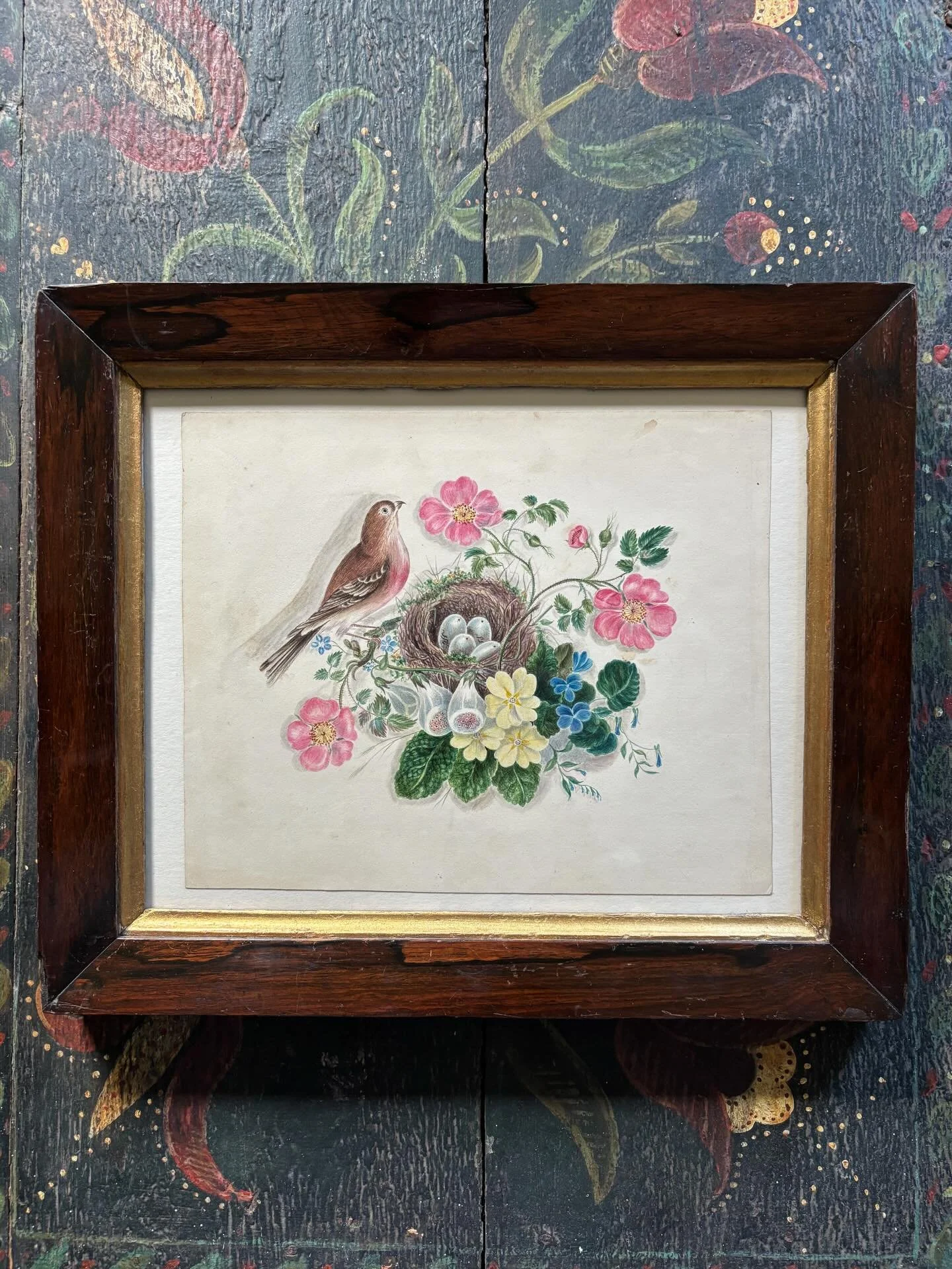 PENDING The most delightful 19th century watercolour painting in an antique rosewood frame with gilt slip. It is a glorious celebration of spring, a linnet perched beside a nest of eggs, nestled amongst the prettiest spring flowers including pink dog