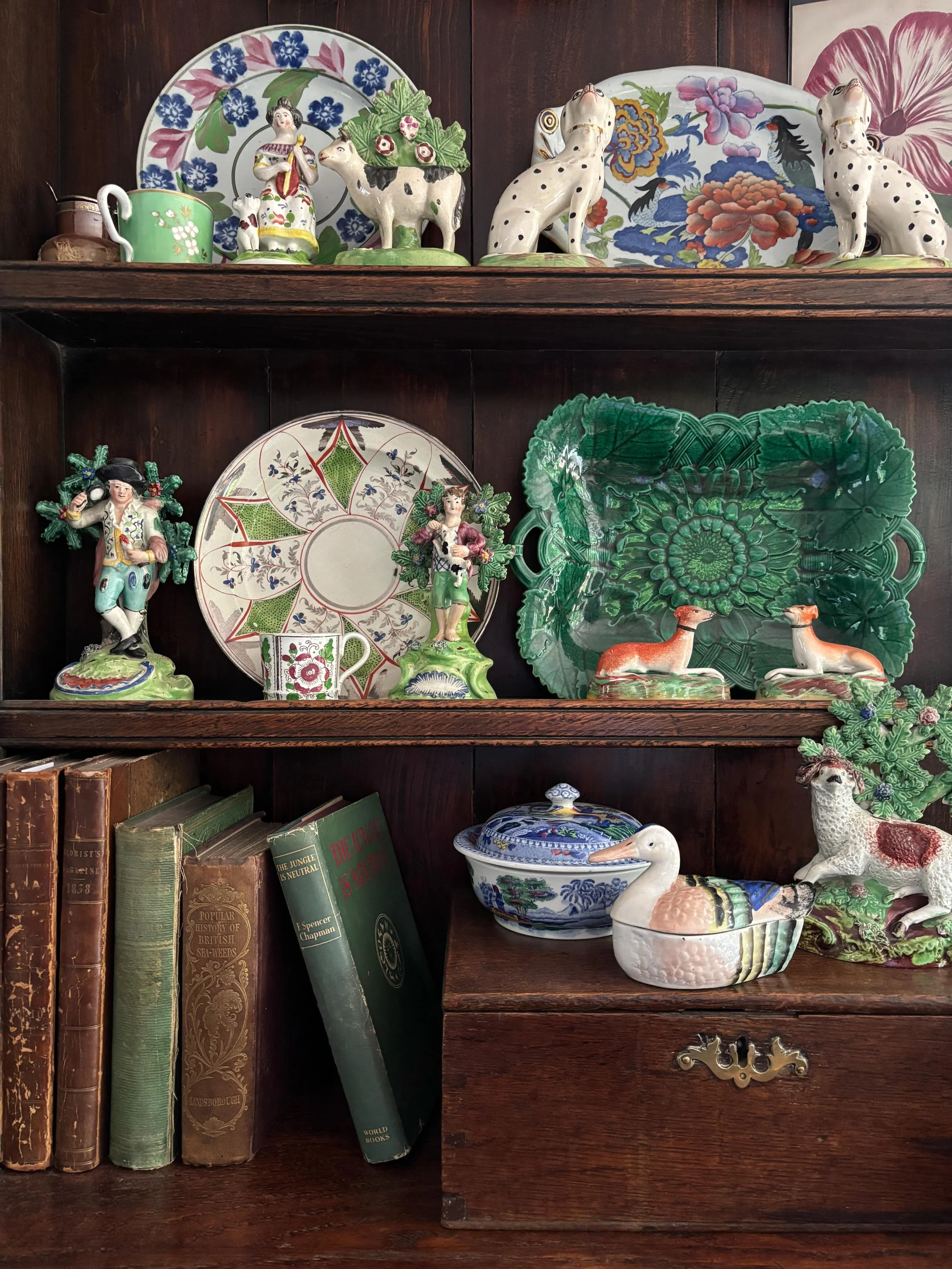 A few favourite bits and pieces in the kitchen include my bound copies of early 19th century editions of the Floricultural Cabinet along with some charming pieces of Staffordshire pottery including, most recently, the wonderful little duck tureen and