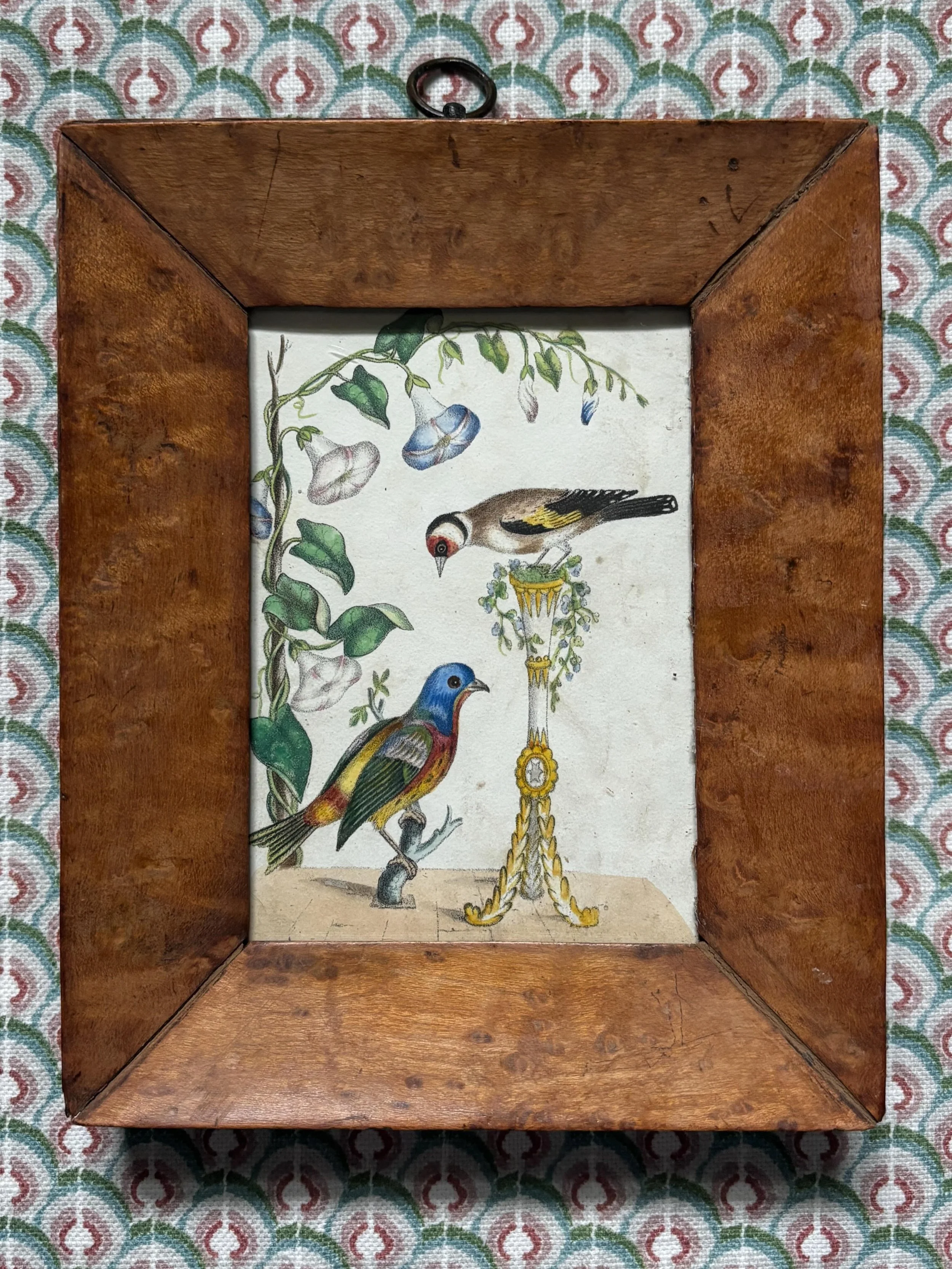 FOR SALE An enchanting little 19th century hand coloured engraving, circa 1837, in an antique birdseye maple veneer frame. It is a detailed engraving that has been beautifully hand coloured. The pretty frame suits it perfectly.  There is a brass pock