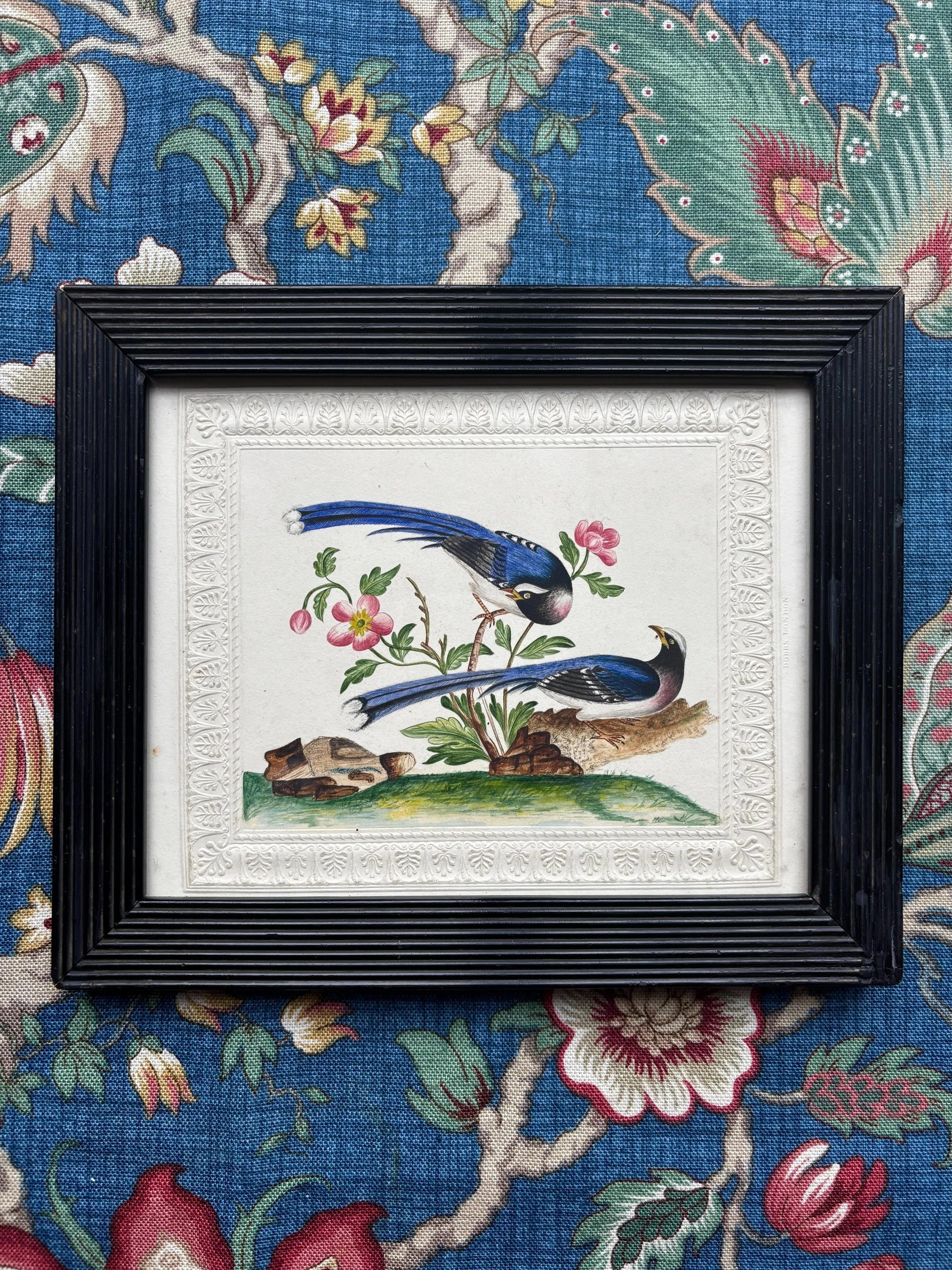 FOR SALE An antique watercolour painting of two exotic birds with a beautifully embossed border, circa 1840. Framed in a reeded, ebonised frame.

It is a distinctly Victorian piece in character and composition and would have been copied from an engra
