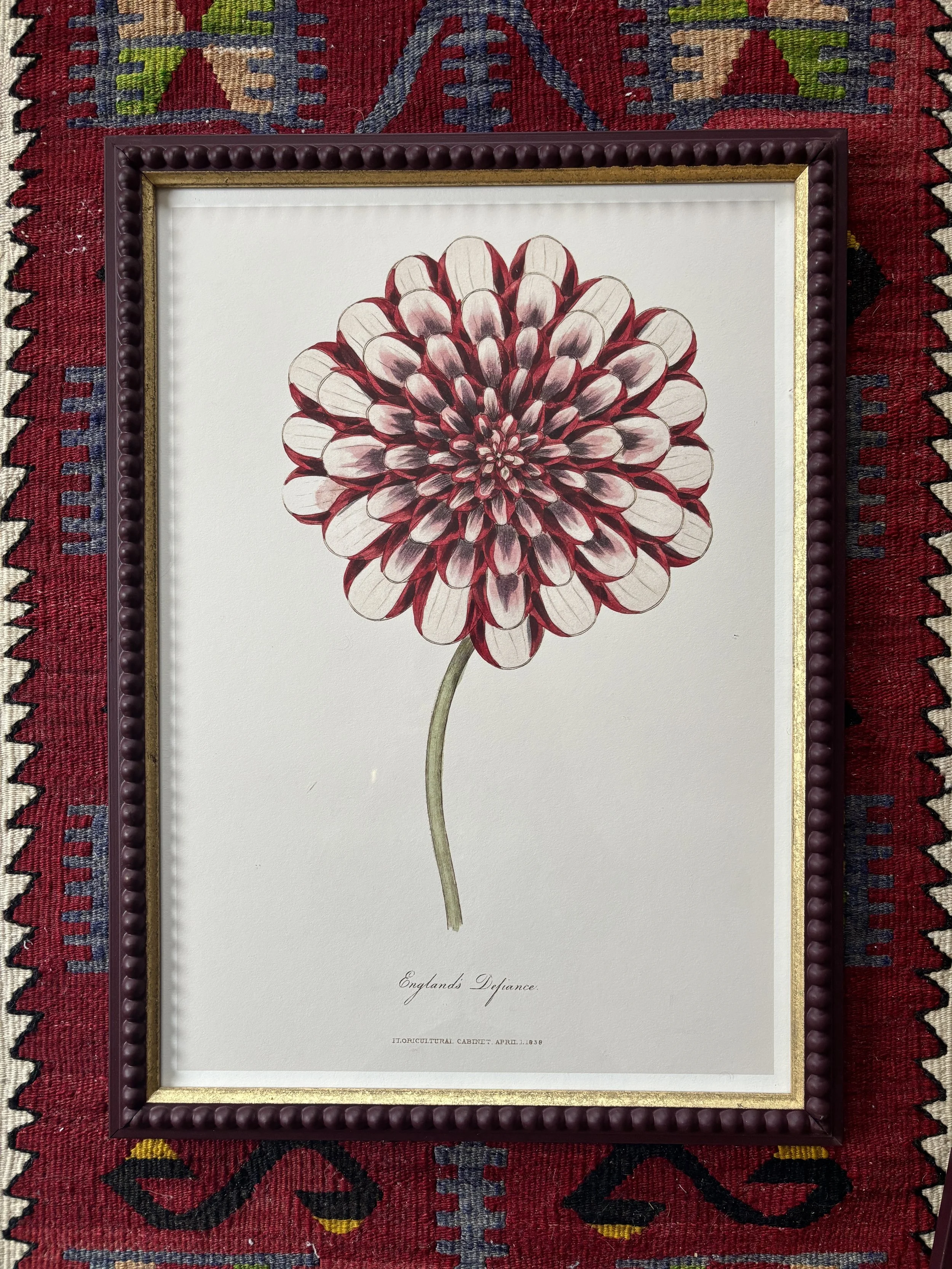 England's Defiance - large print, dark red beaded frame