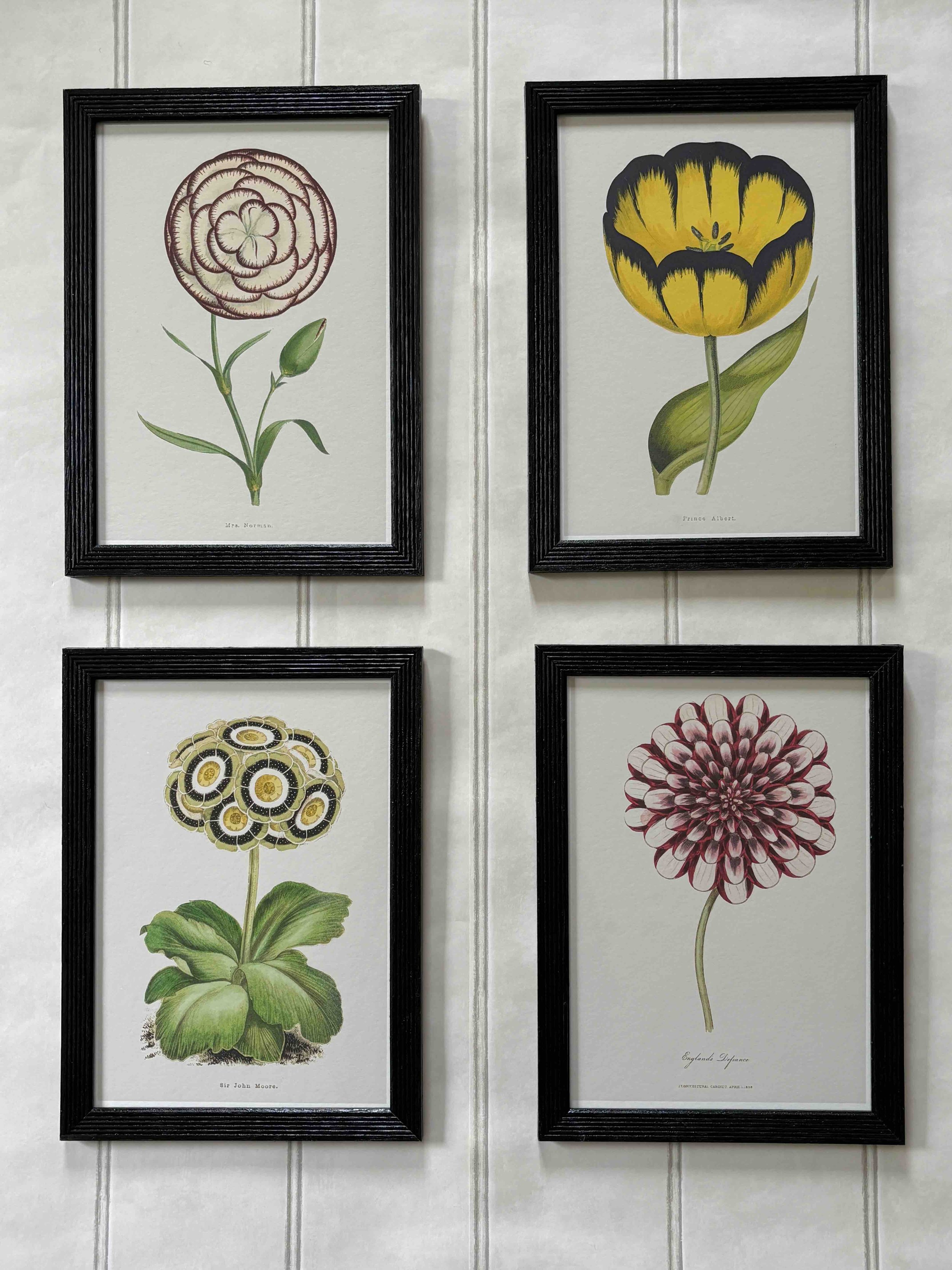 Set of four single flowers (framed).jpeg