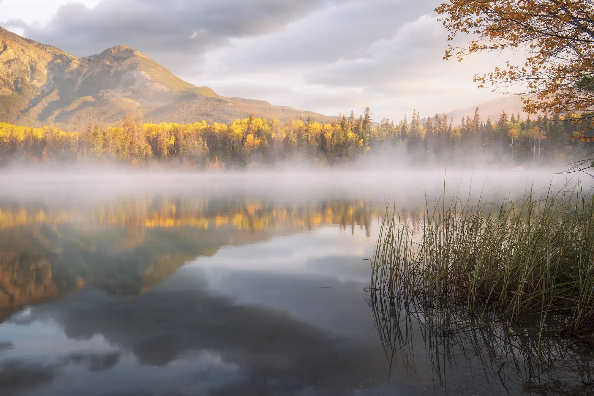 Patricia Lake, Jasper National Park