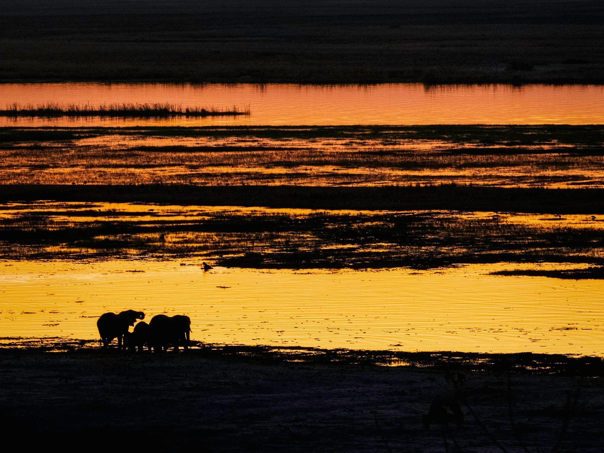Sunset at Chobe National Park