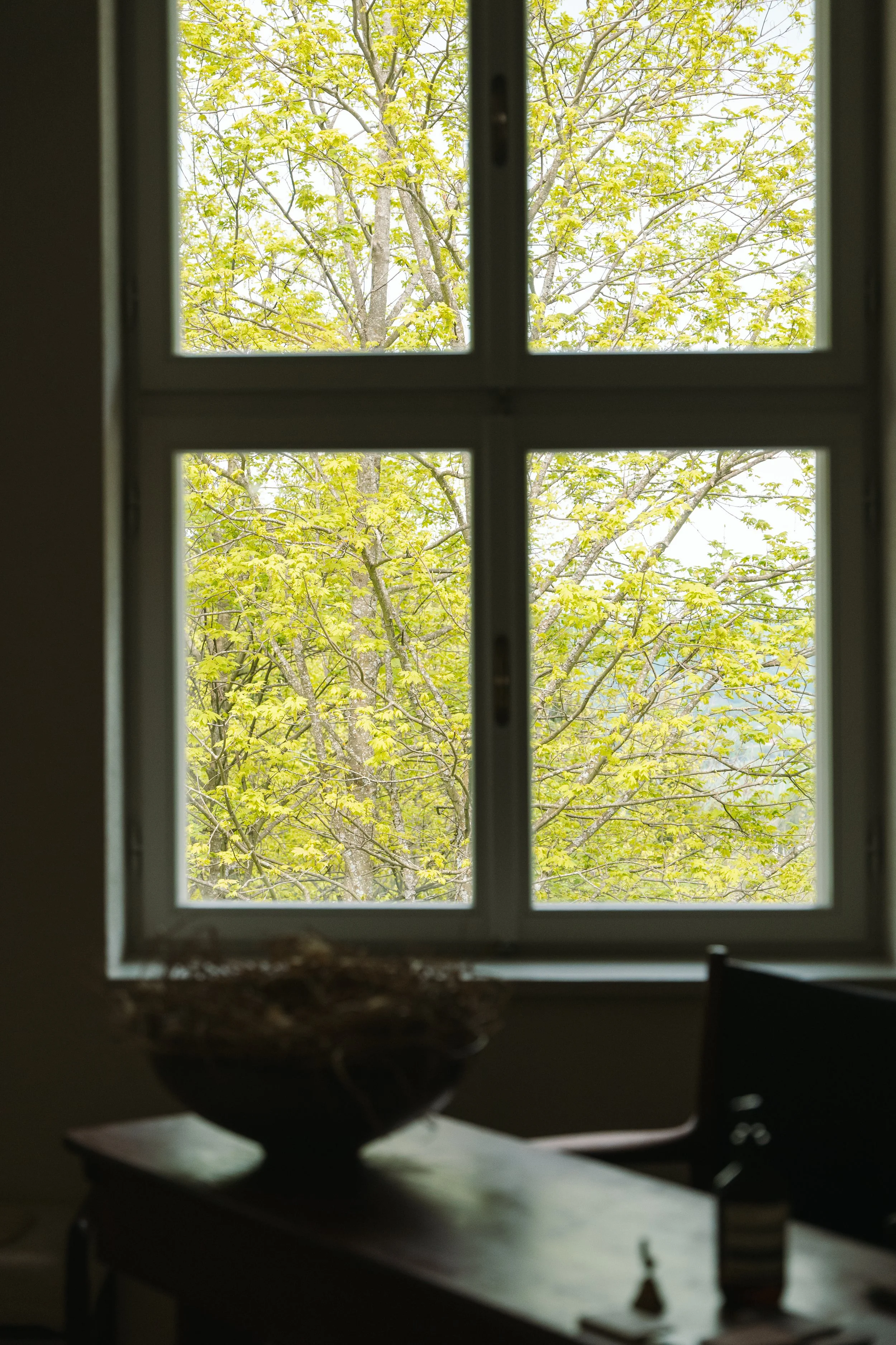 2025_edelbaur_oldschoolguesthouse-1030190.jpg