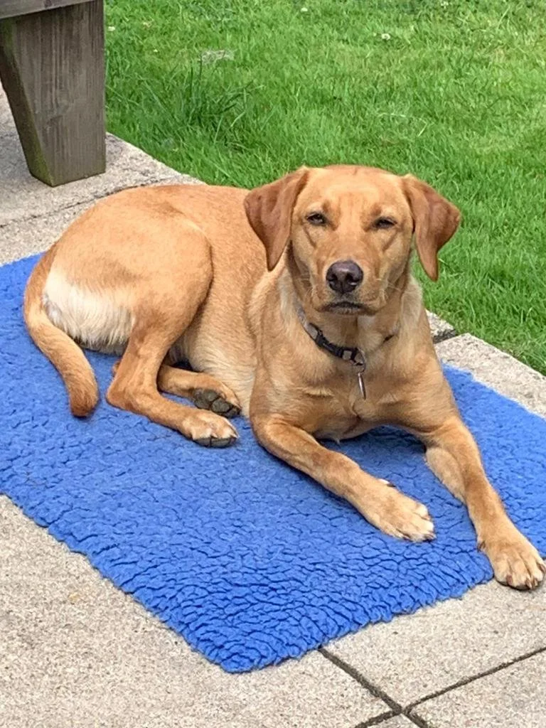 WhatsApp Image 2022-11-24 at 6.06.29 PM.jpeg