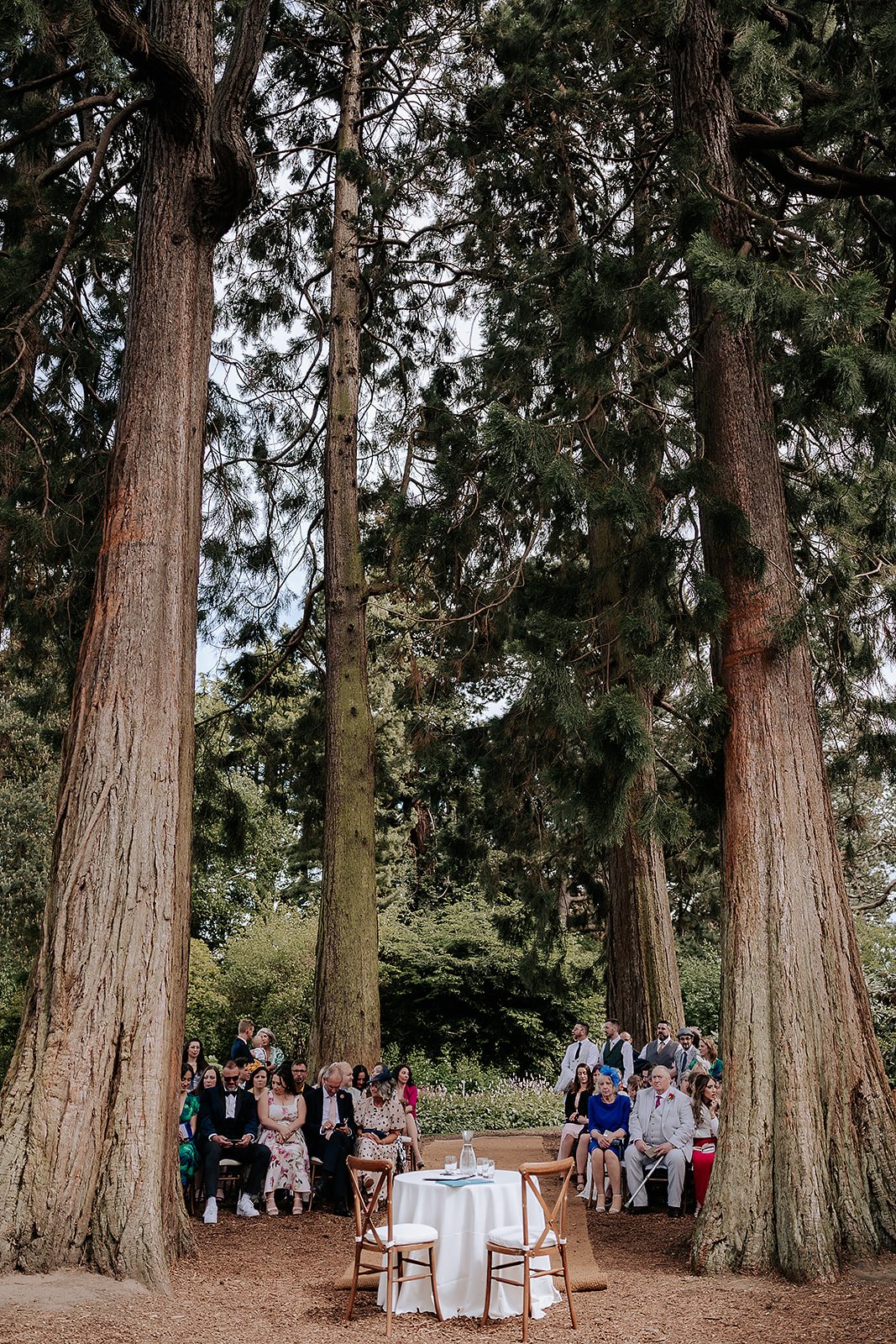 Tim + Ian - Royal Botanic Gardens - 24-5-25 (previews)-46.jpg
