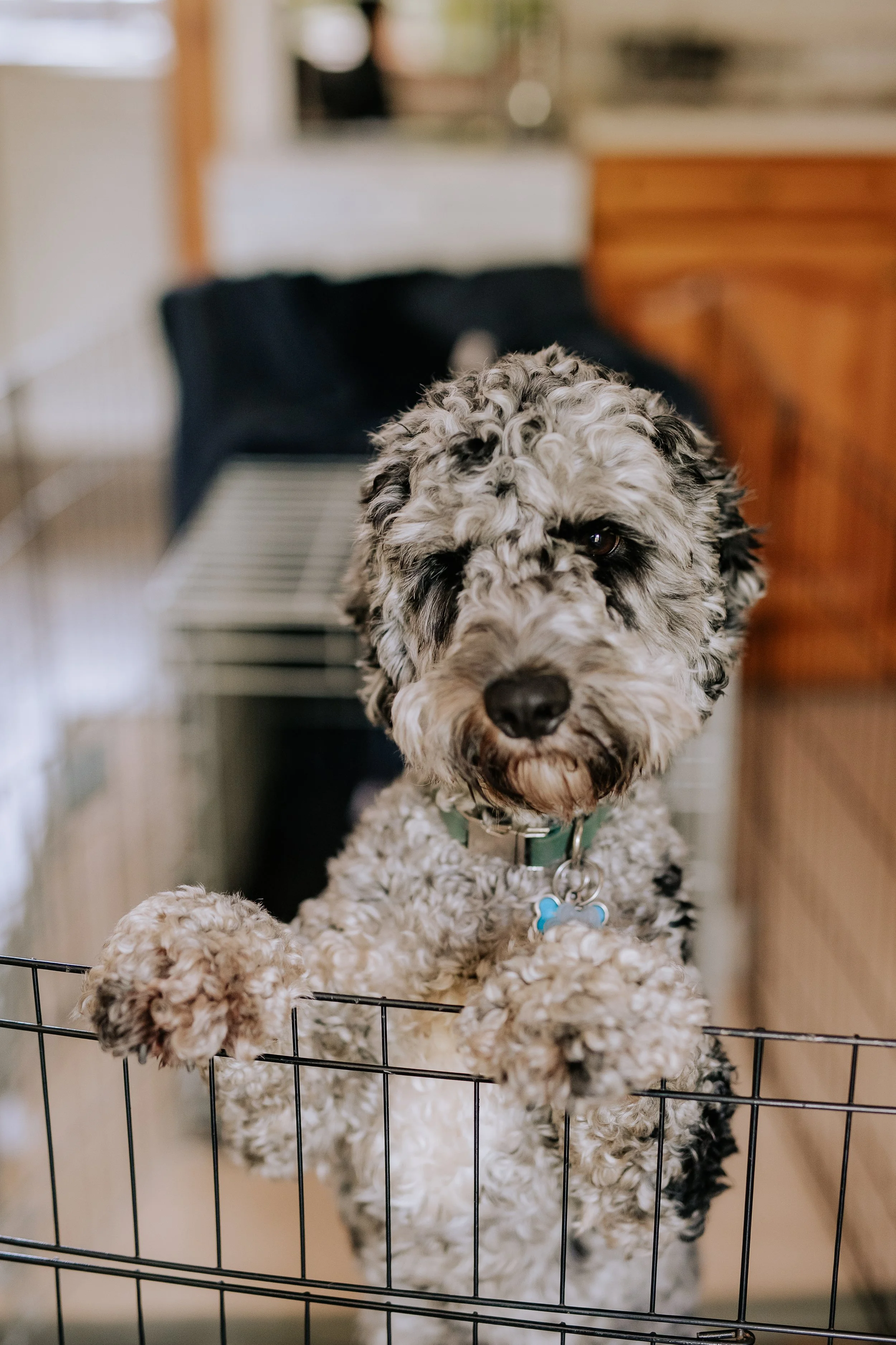 Ciara + Chris - Rossie On The Earn-35.jpg