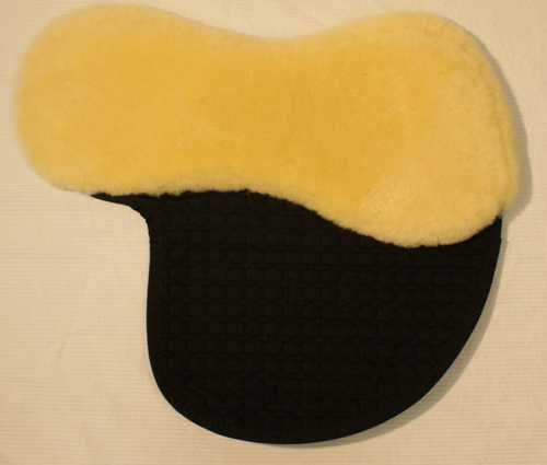 semi lined sheep.jpg