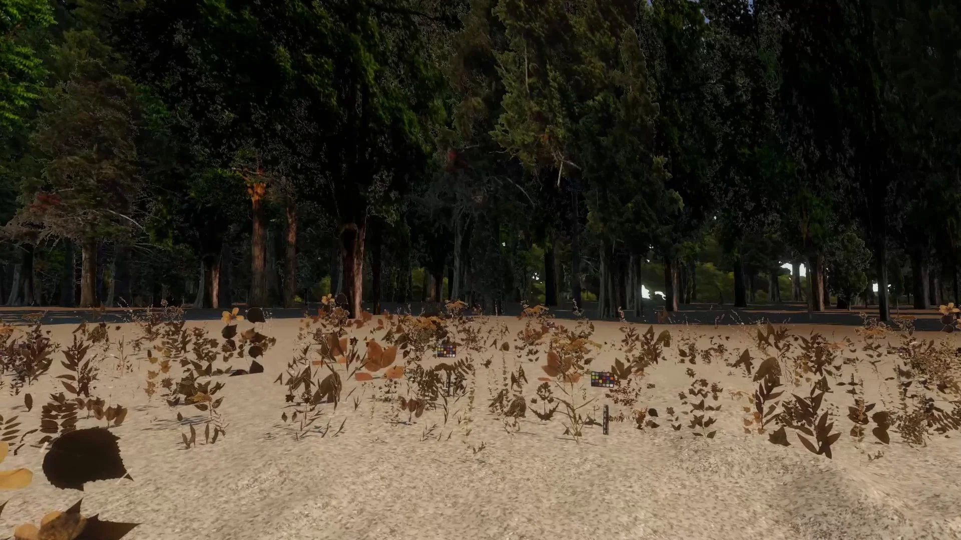 34.vlcsnap-2022-12-10-13h12m38s665.jpg