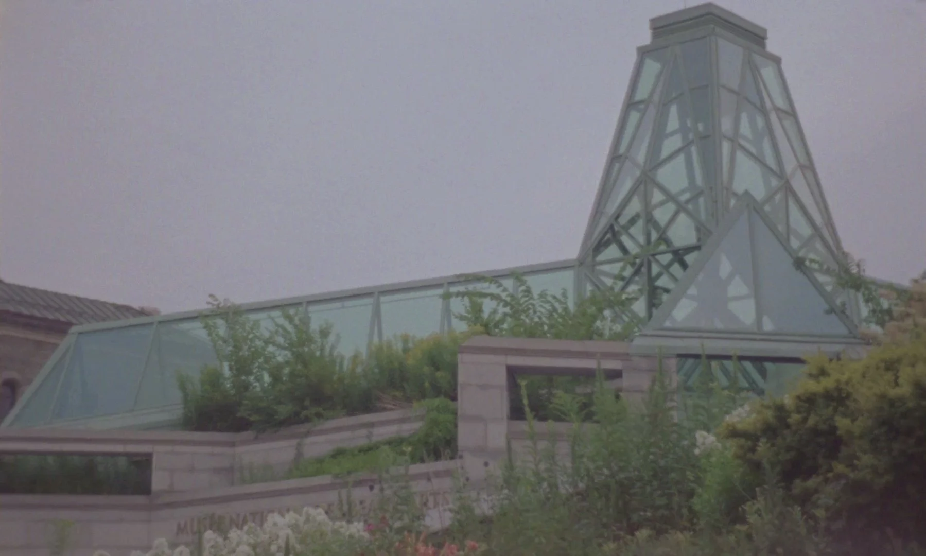 Lexical Field (in progress)