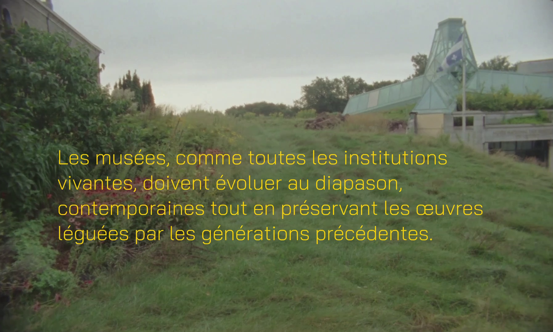 vlcsnap-2026-01-10-07h29m31s912.png