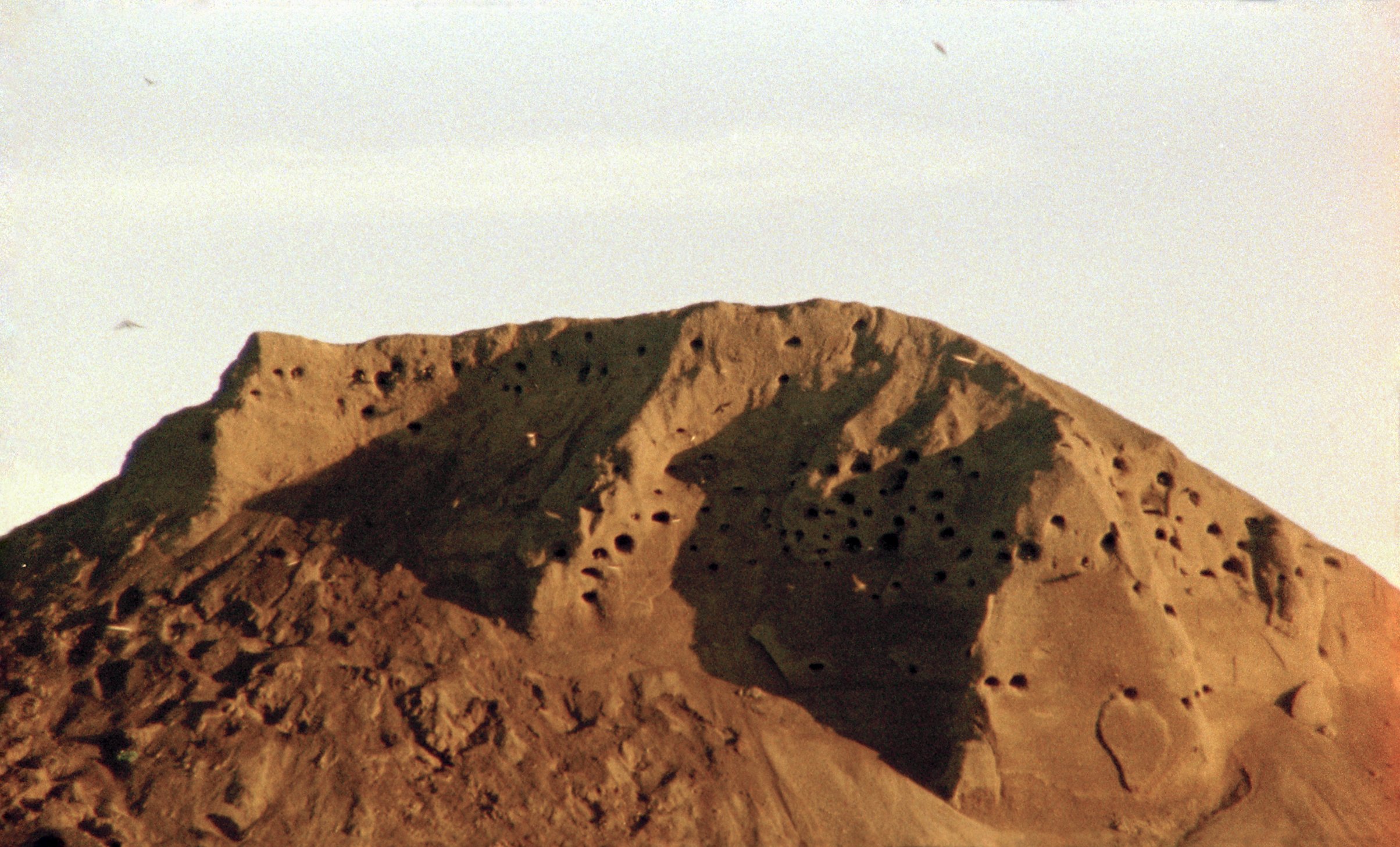 Solastalgia Riparia