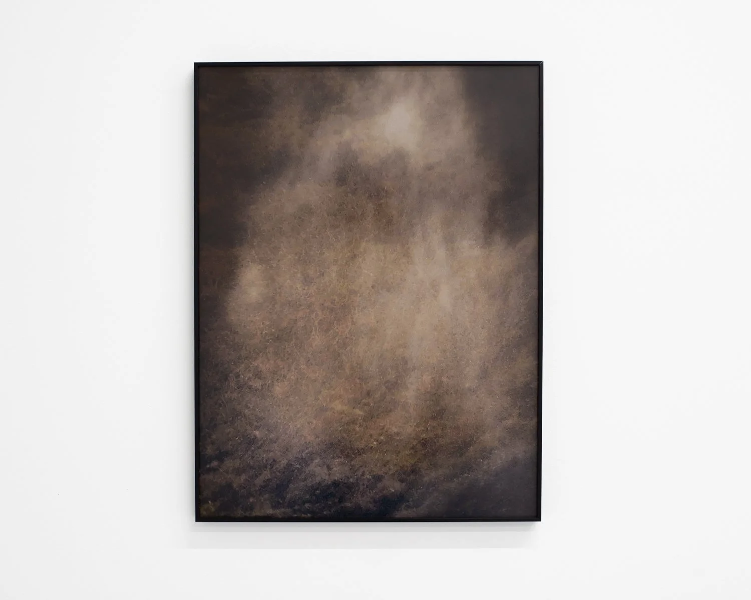 Conner Gordon, "8x25 44°16'40.37" N 124°6'46.22" W (Veil)", inkjet print on metallic paper, 2024