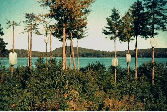 Marianne McCarthy, "Shirtwood Phenomenon, Maine, 1963," archival pigment print, 2008