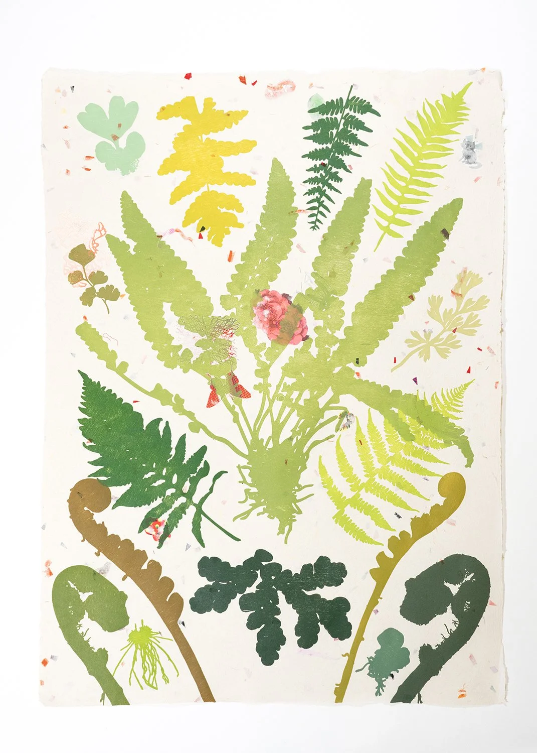 Marika Christofides, "Polypodiopsida," laser engraved woodblock print on handmade paper, 2026